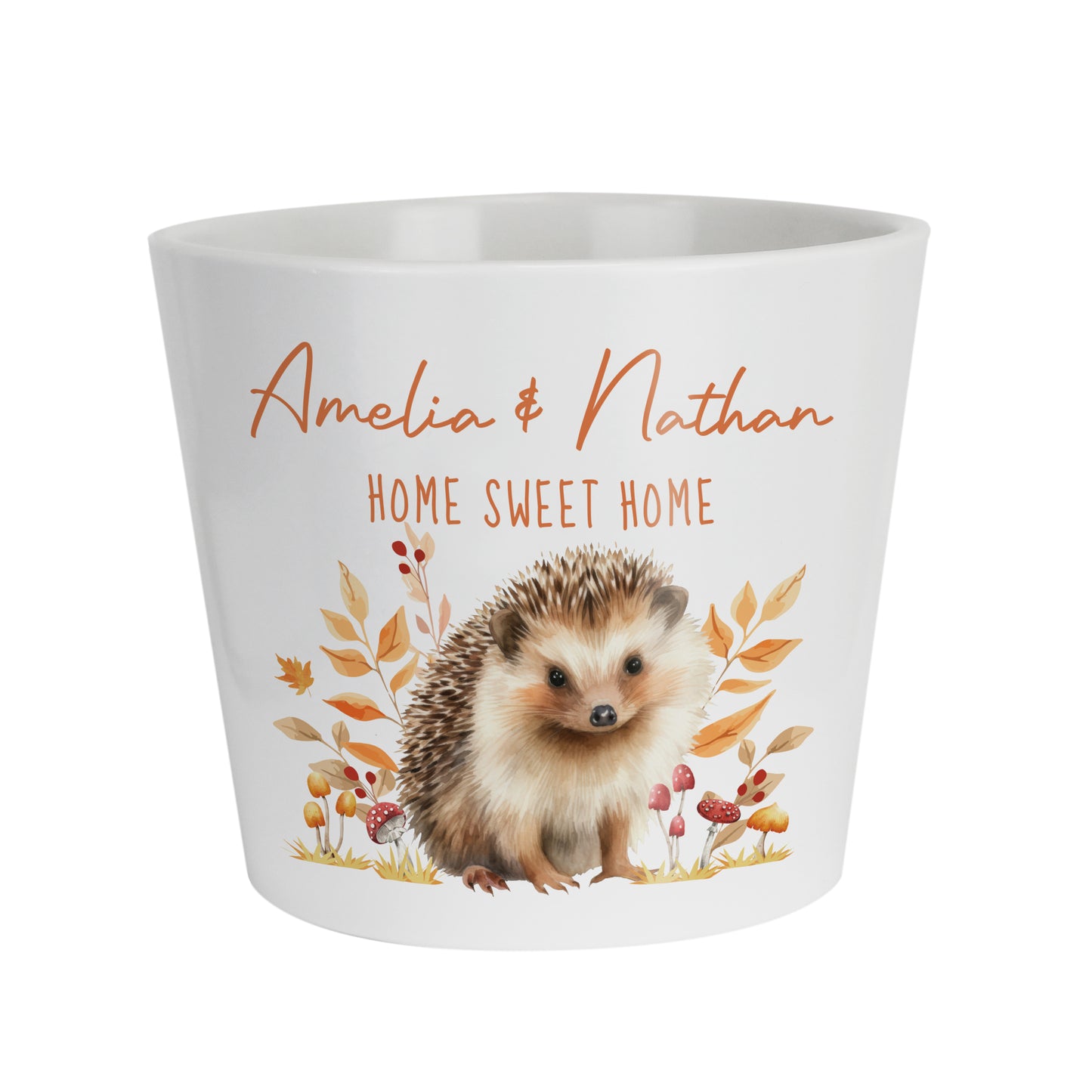 Personalised Hedgehog Large Plant Pot - image 5