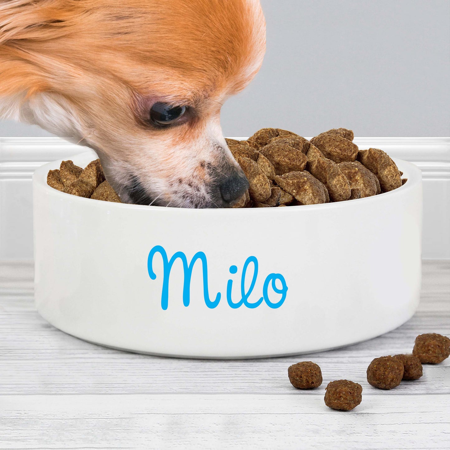 Personalised Blue Name 15cm Medium Pet Bowl - image 3