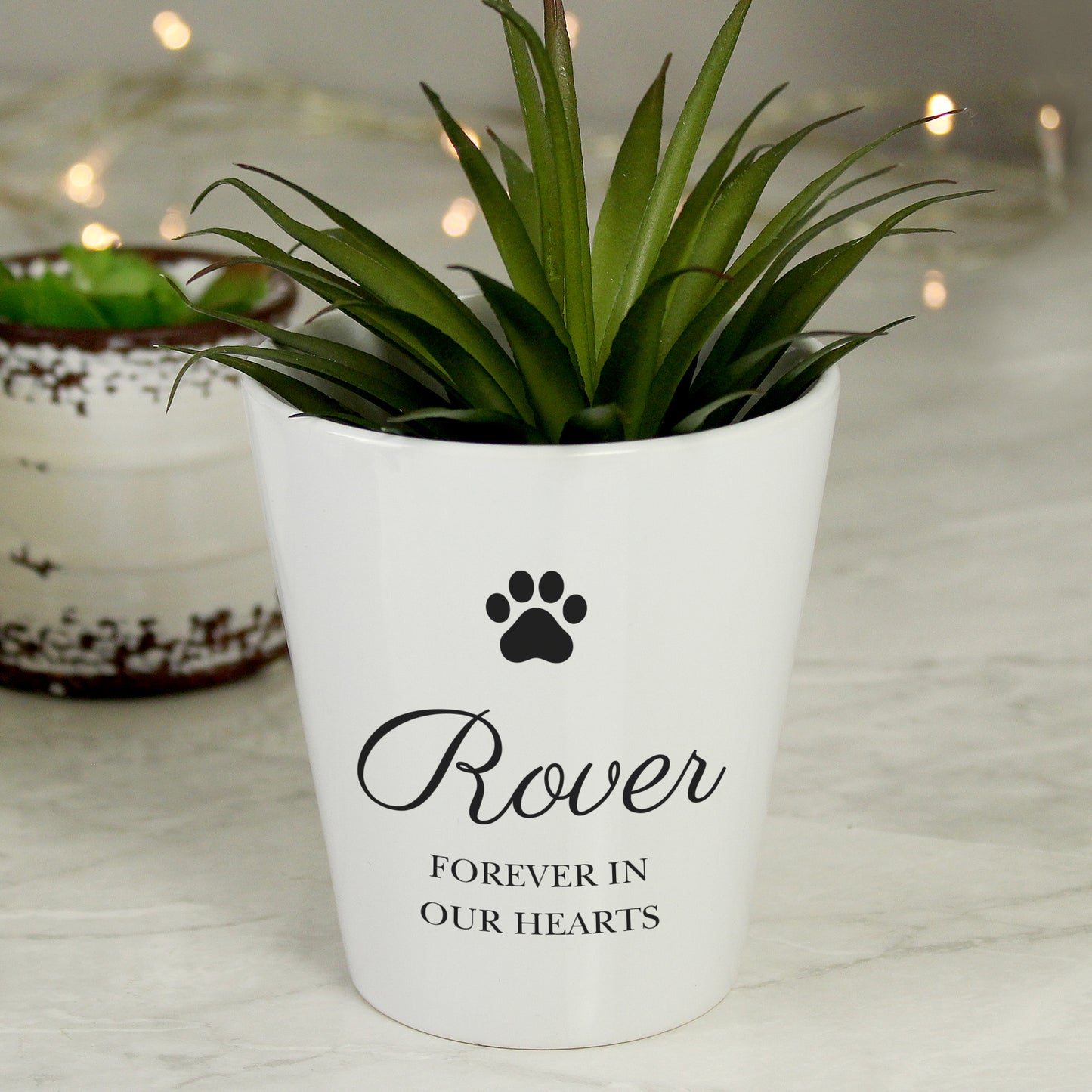 Personalised Paw Print Plant Pot - image 3
