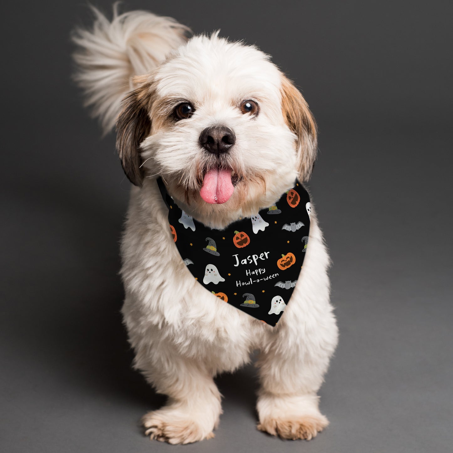 Personalised Halloween Dog Bandana - image 3