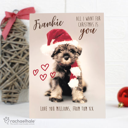 Personalised Rachael Hale 'All I Want For Christmas' Puppy Card - image 4