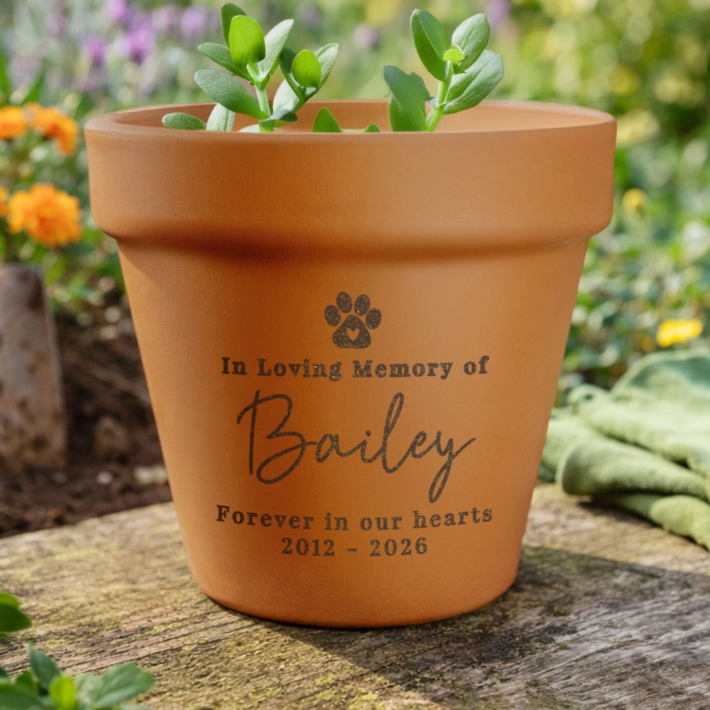 Personalised Pet Memorial Terracotta Plant Pot from Heartfelt Gifts