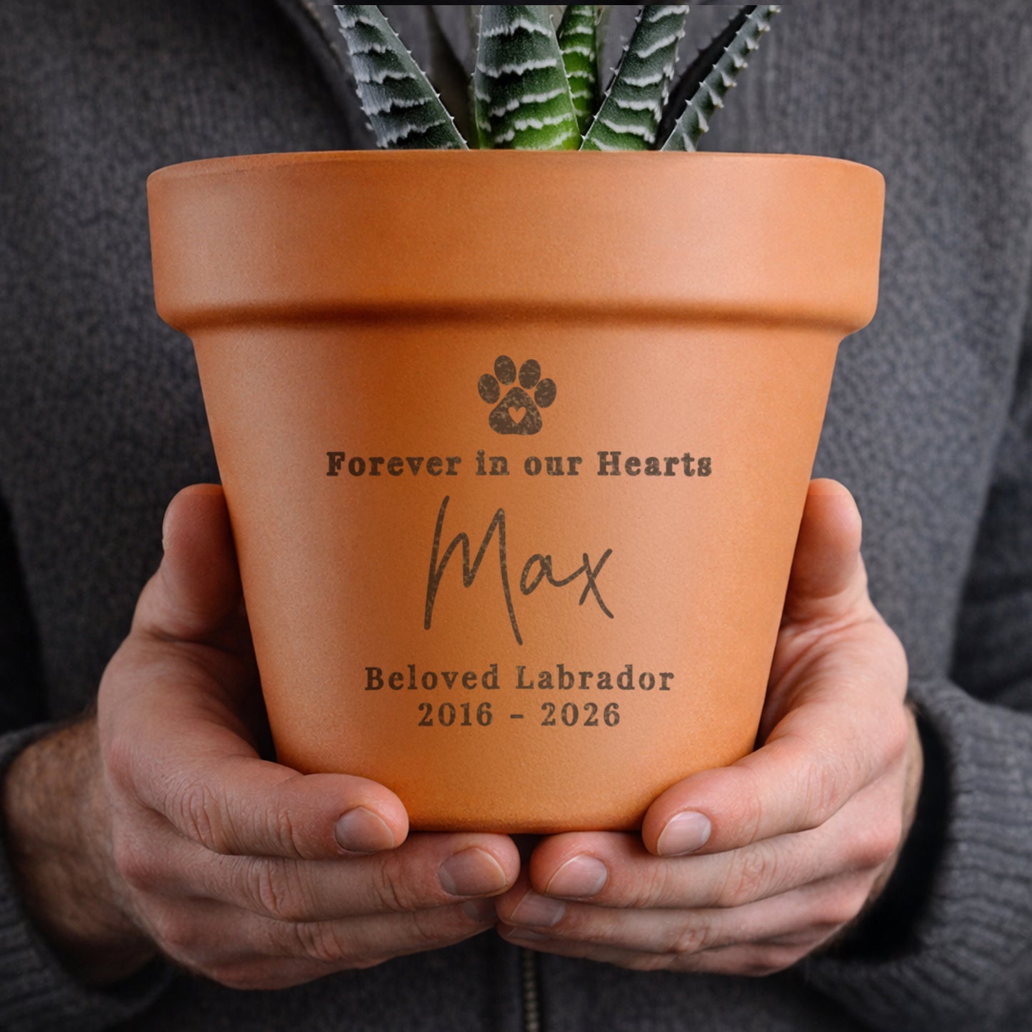 Personalised Pet Memorial Terracotta Plant Pot - image 3