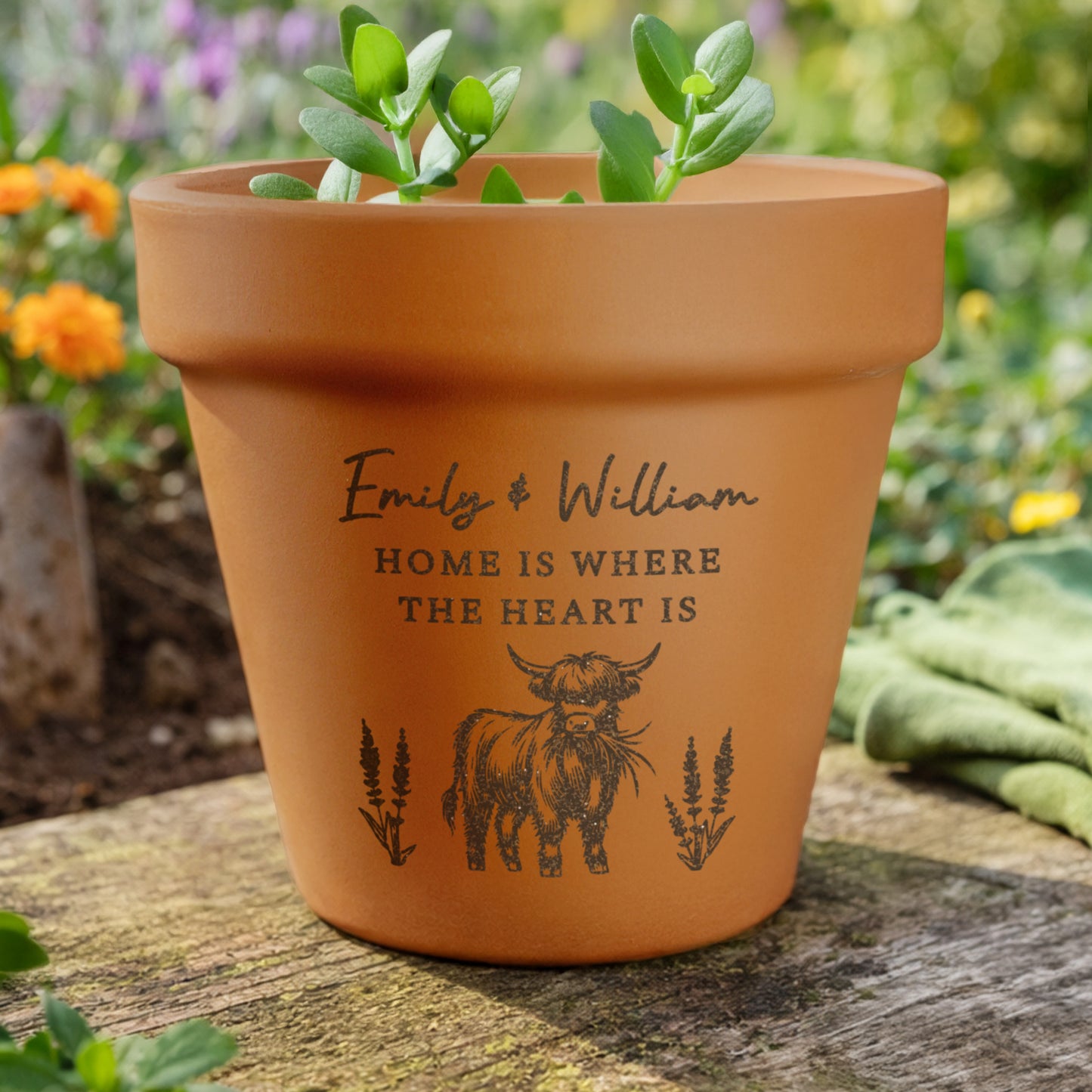 Personalised Highland Cow Terracotta Plant Pot from Heartfelt Gifts