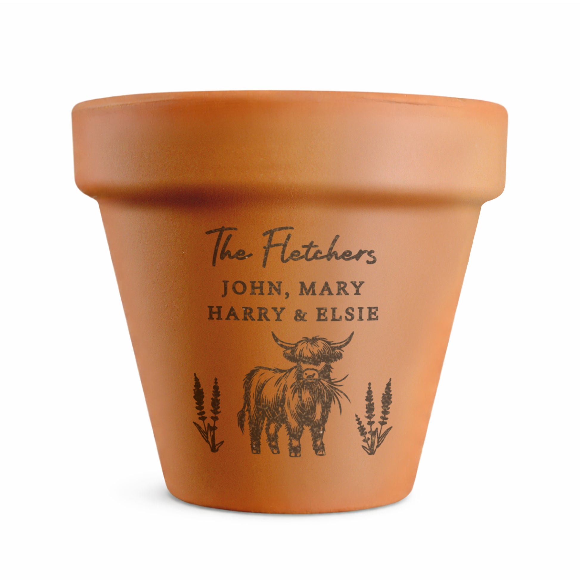 Personalised Highland Cow Terracotta Plant Pot - image 5