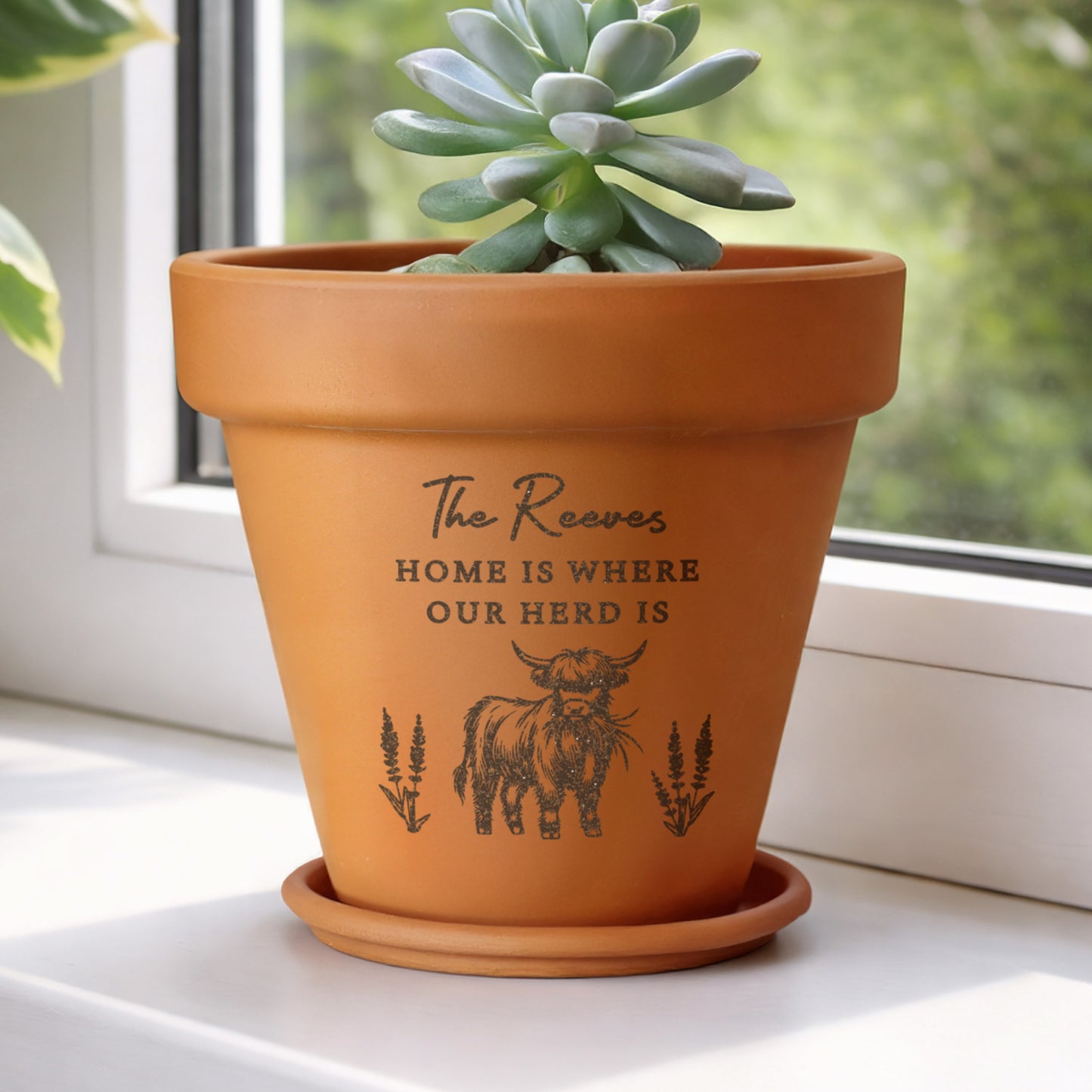 Personalised Highland Cow Terracotta Plant Pot - image 6