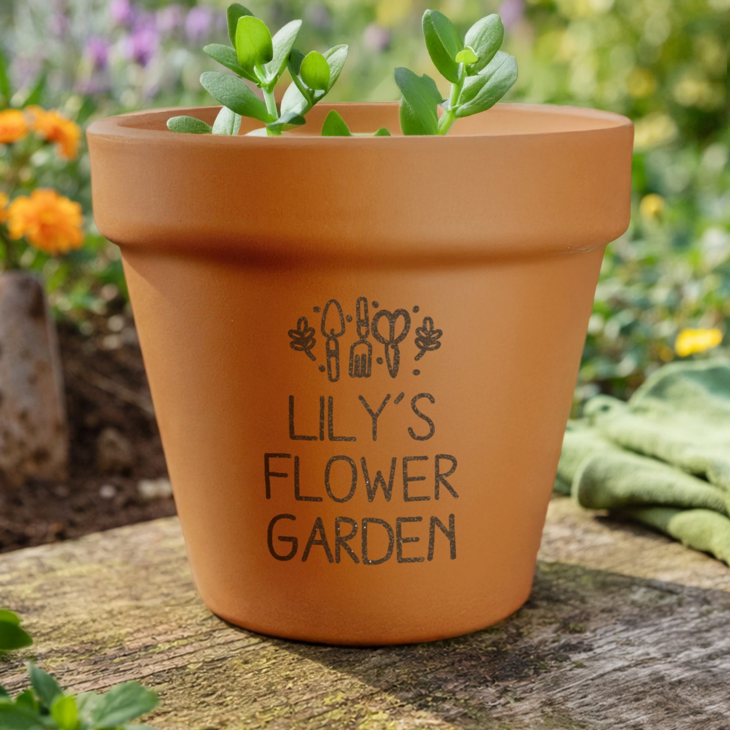 Personalised Gardening Terracotta Plant Pot from Heartfelt Gifts