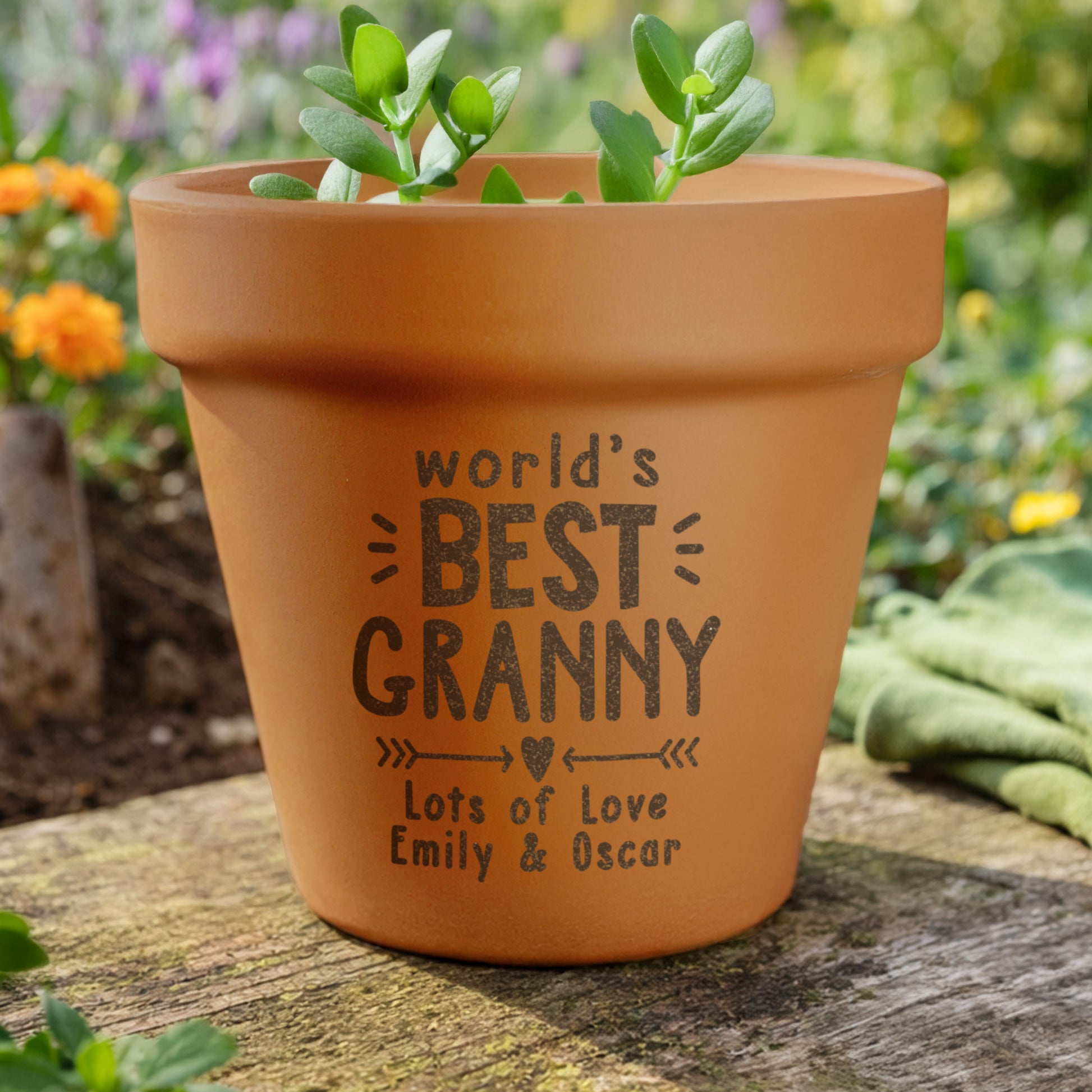 Personalised Worlds Best Terracotta Plant Pot from Heartfelt Gifts