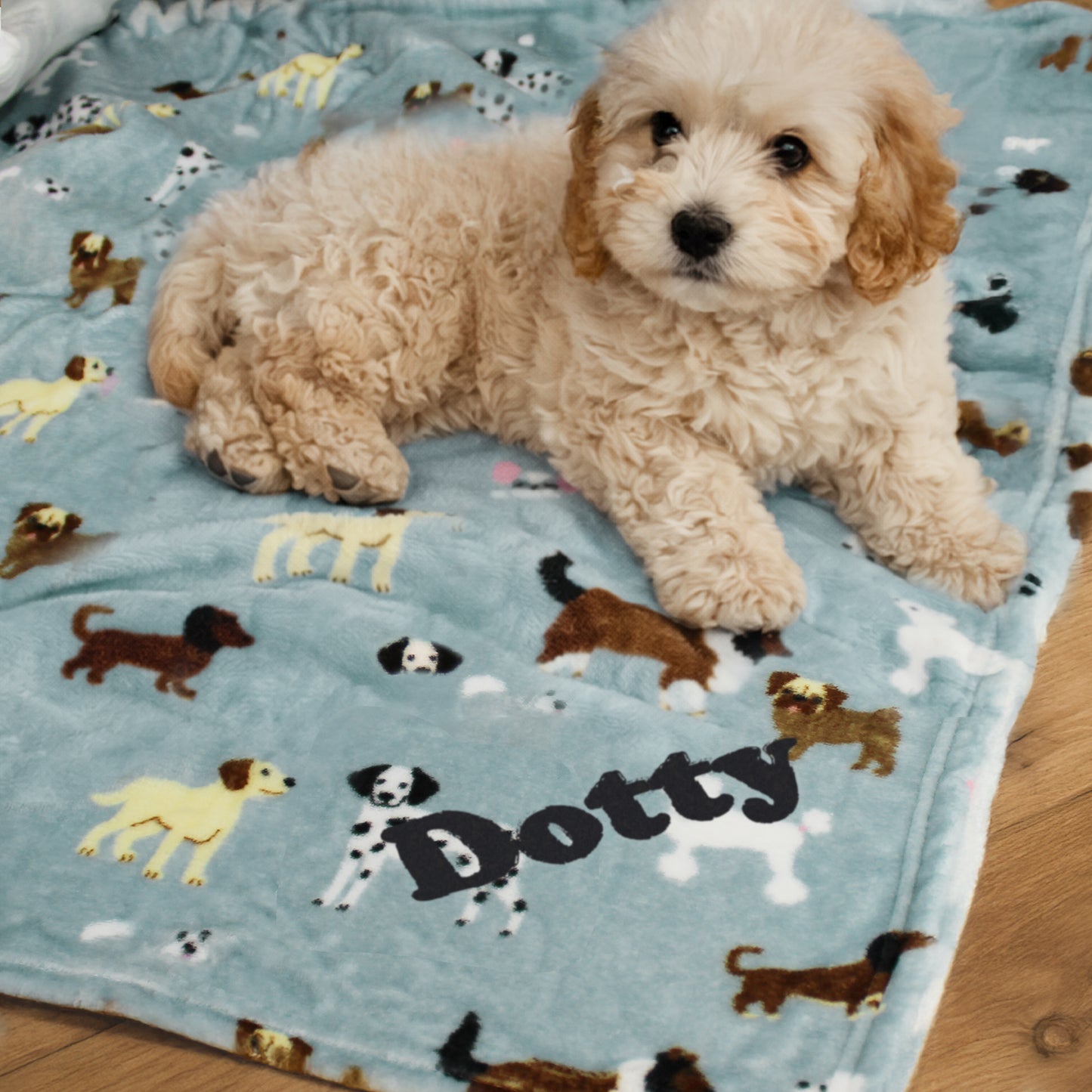 Personalised Dog Paw Print Fleece Blanket from Heartfelt Gifts