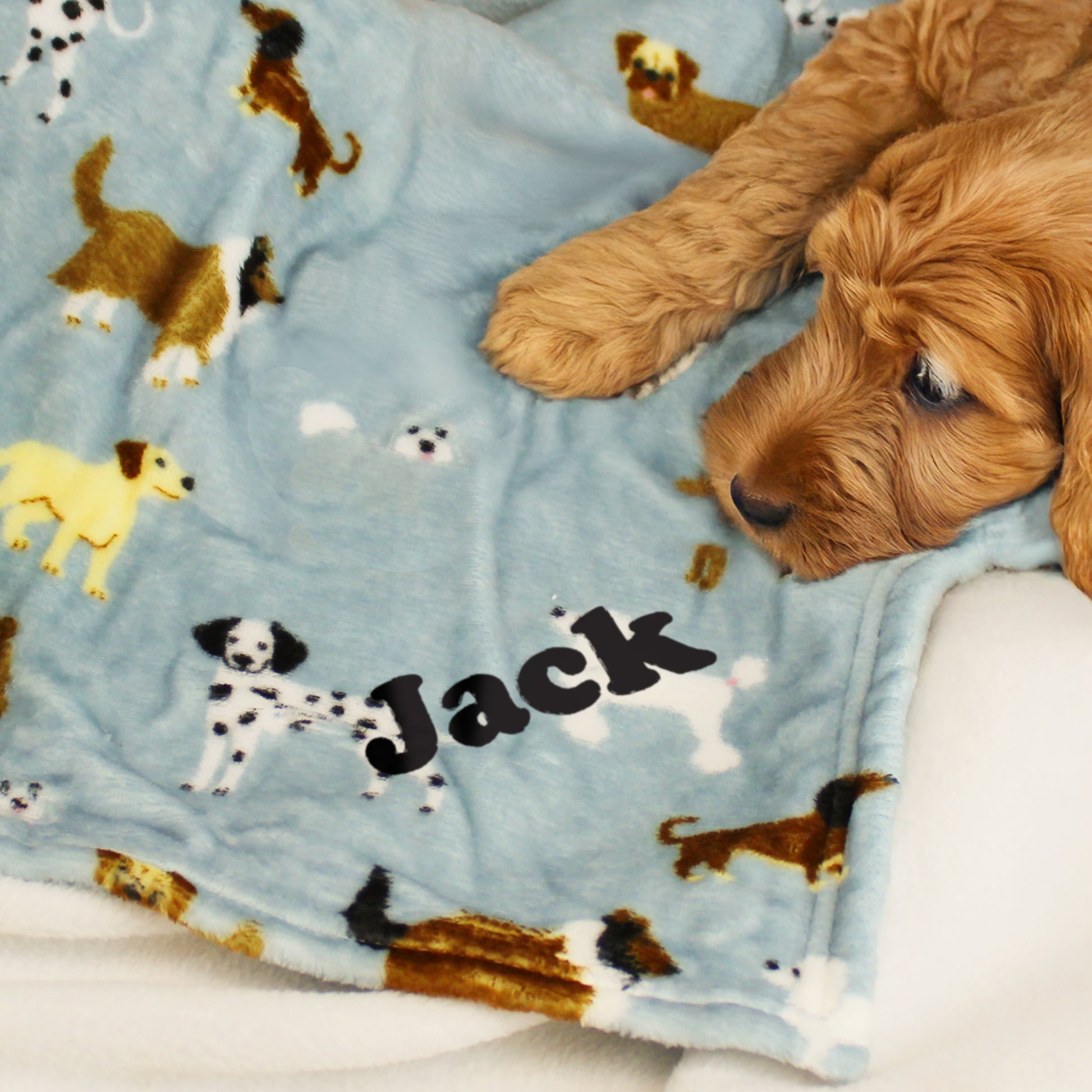 Personalised Dog Paw Print Fleece Blanket - image 7
