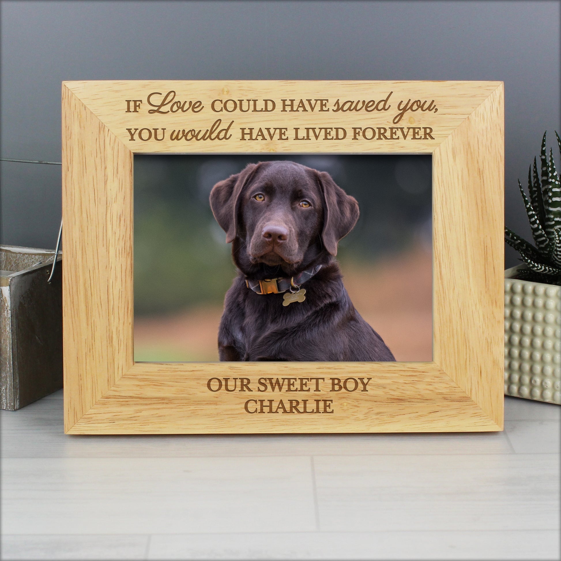 Personalised Pet Memorial 6x4 Photo Frame - image 2