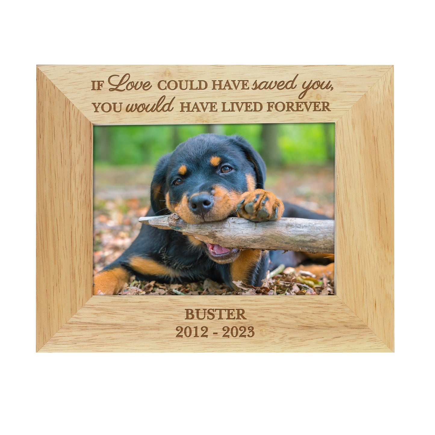 Personalised Pet Memorial 6x4 Photo Frame - image 4