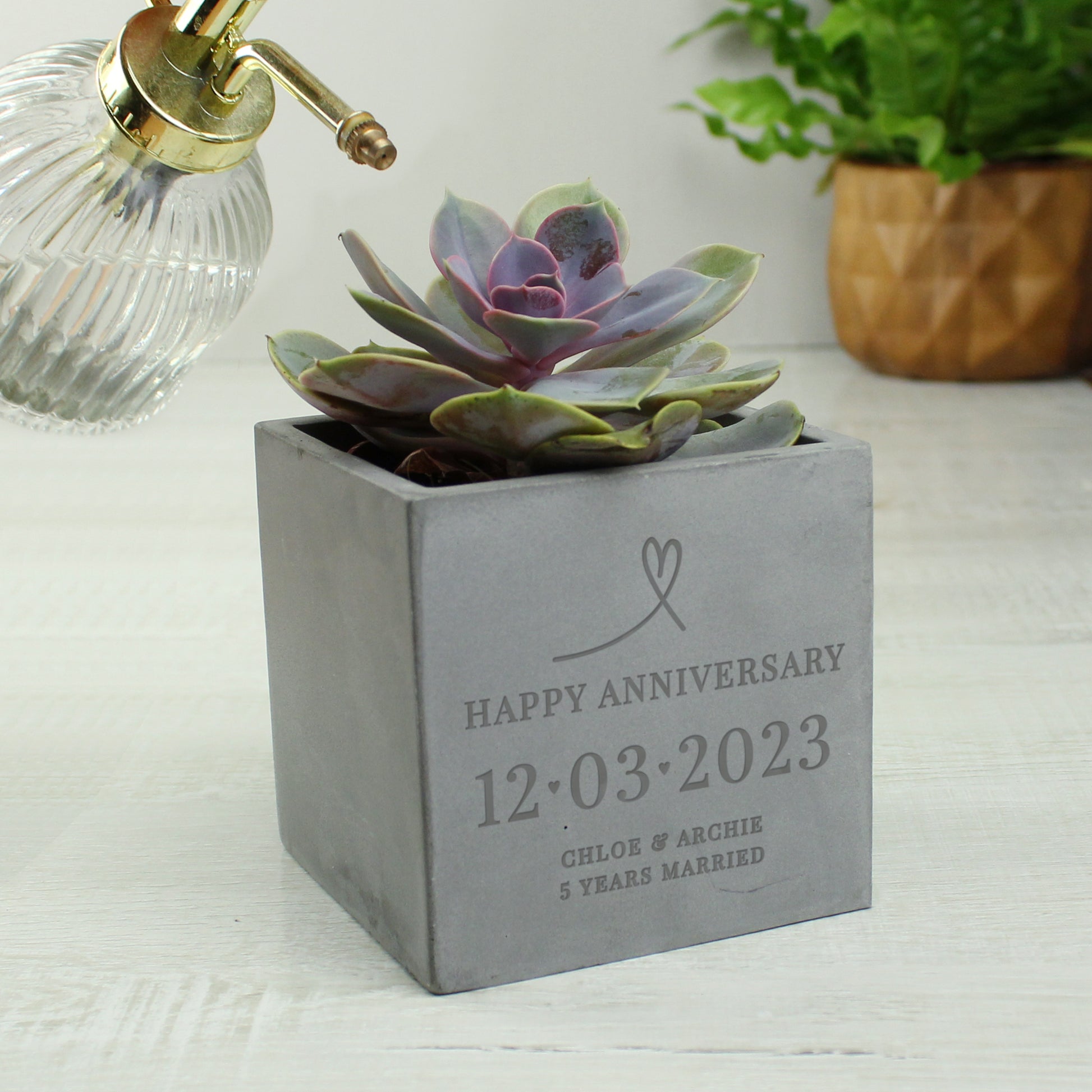 Personalised Special Date Concrete Plant Pot - image 4
