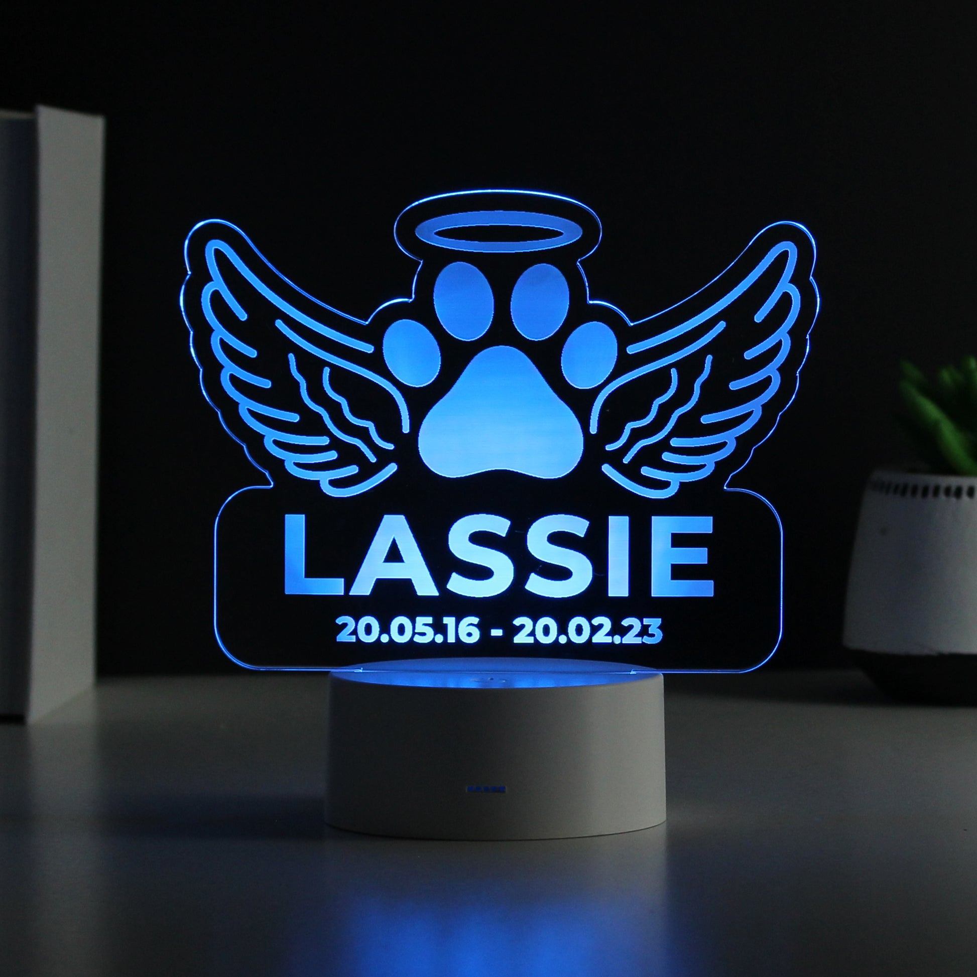 Personalised Pet Memorial Colour Changing LED Light - image 4