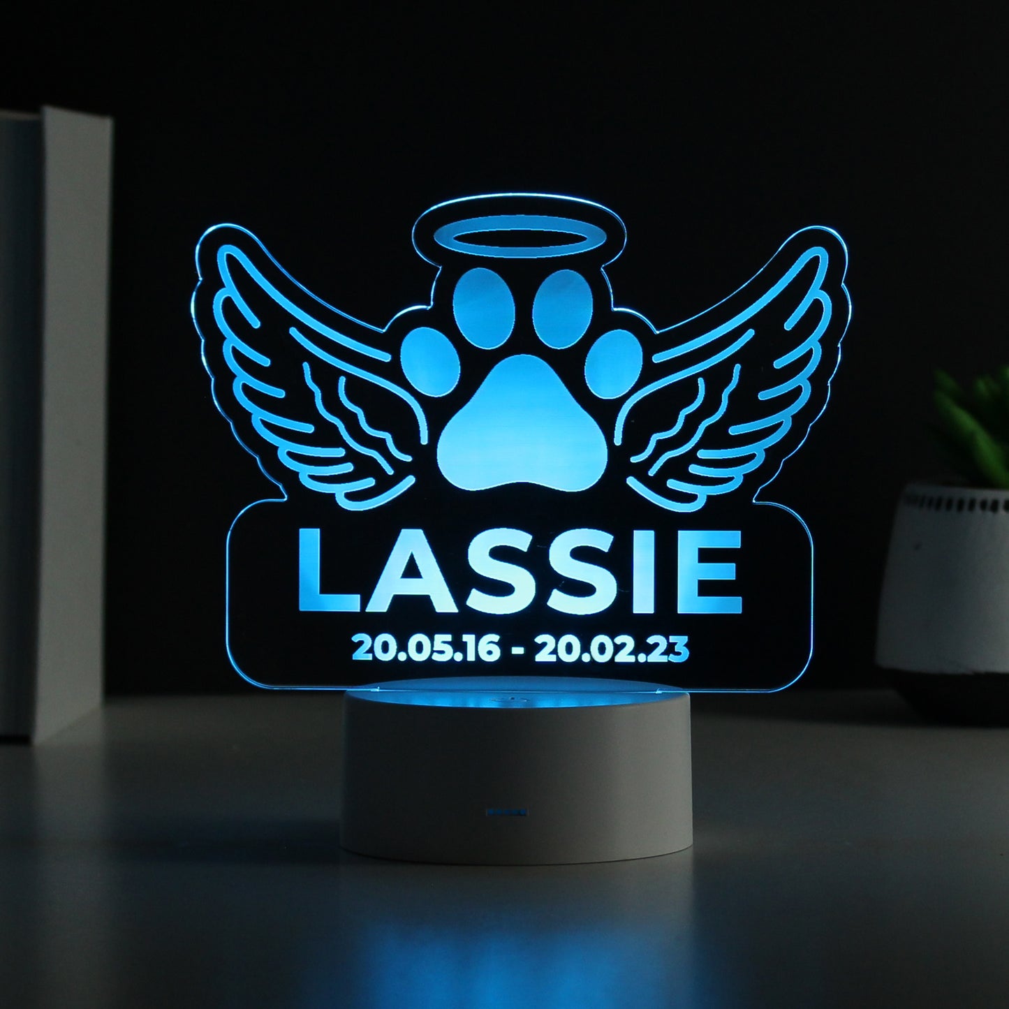 Personalised Pet Memorial Colour Changing LED Light - image 6