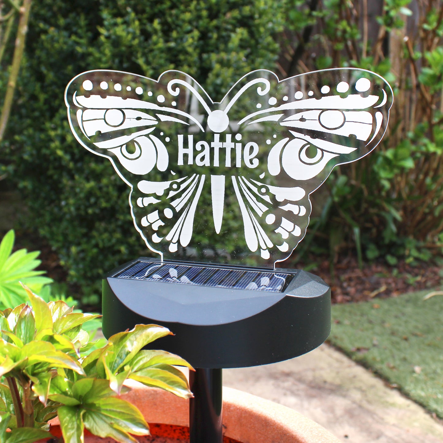 Personalised Butterfly Solar Light from Heartfelt Gifts