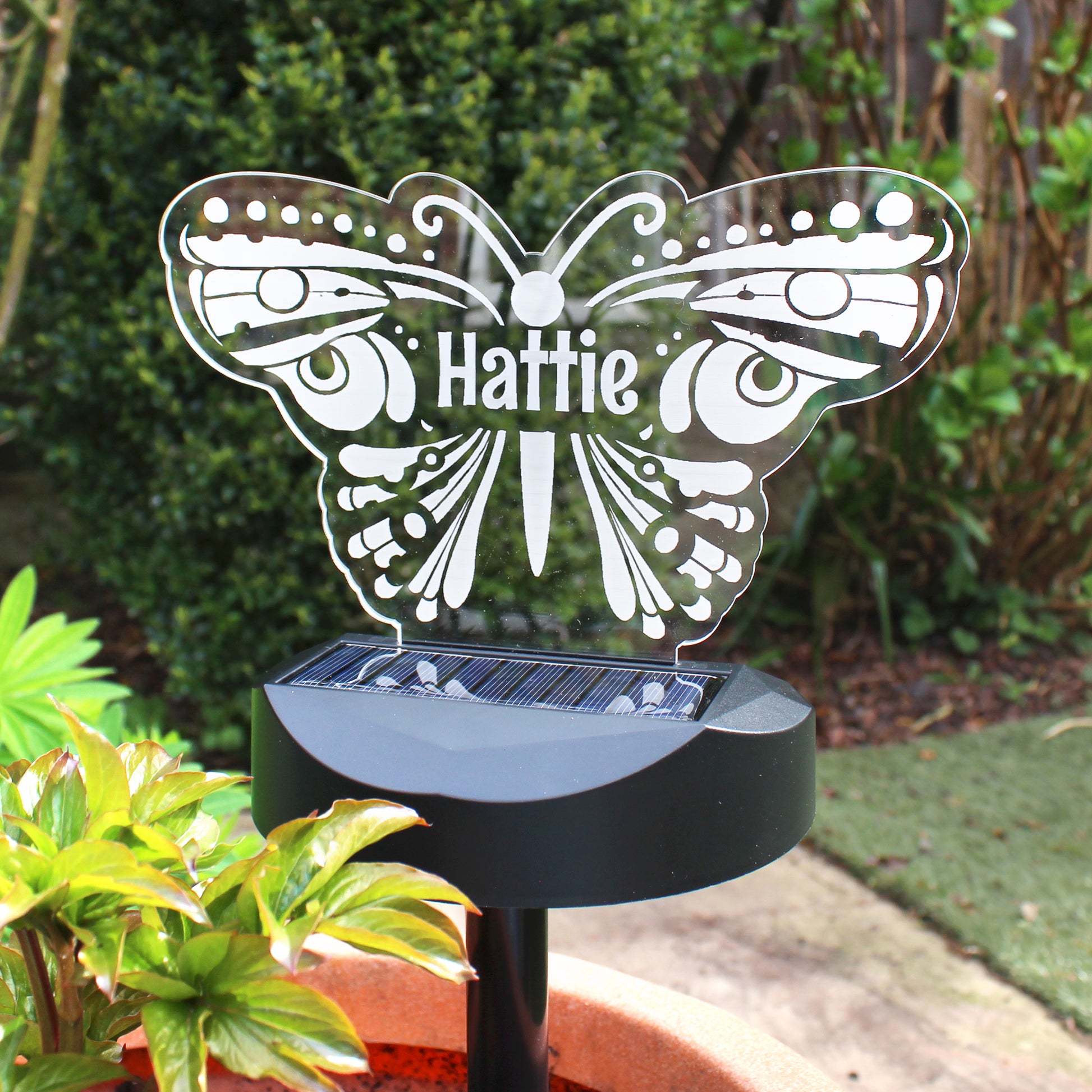 Personalised Butterfly Solar Light from Heartfelt Gifts