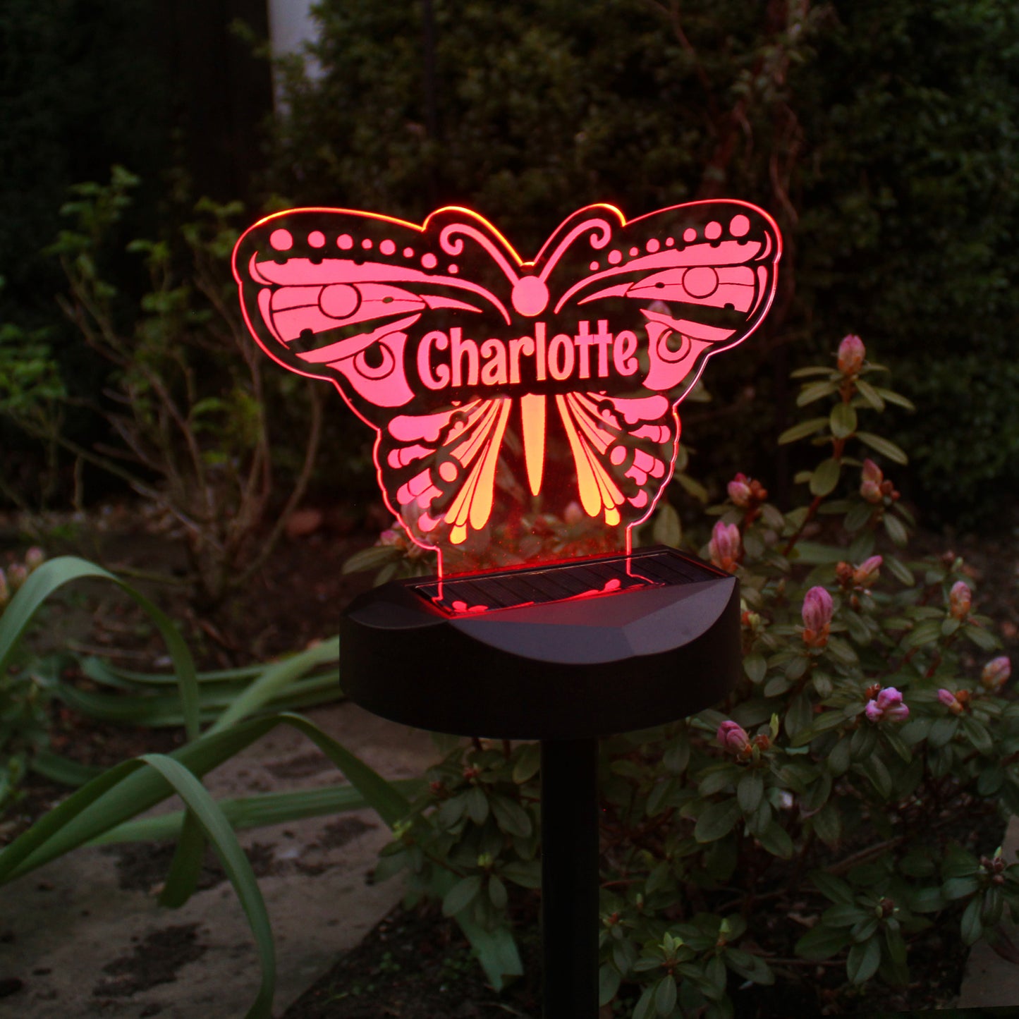 Personalised Butterfly Solar Light - image 6