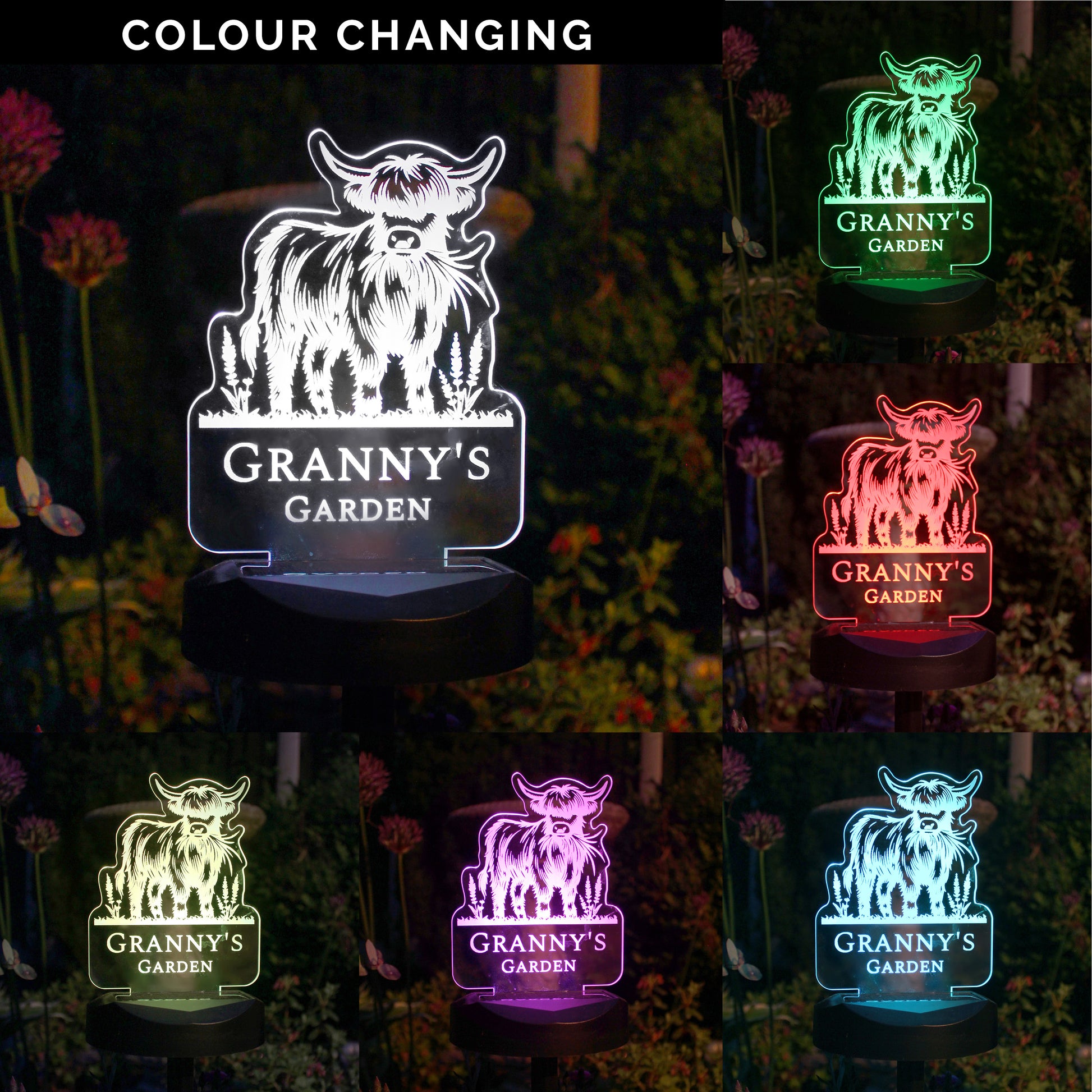 Personalised Highland Cow Garden Solar Light - image 2