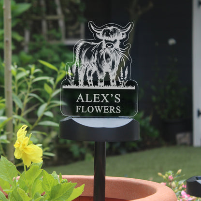 Personalised Highland Cow Garden Solar Light - image 11