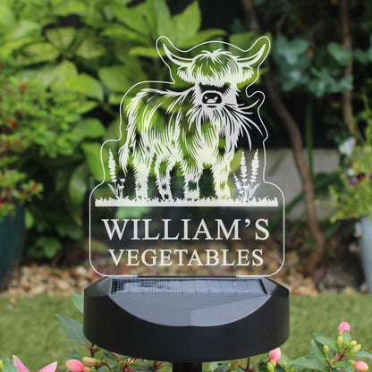 Personalised Highland Cow Garden Solar Light - image 10