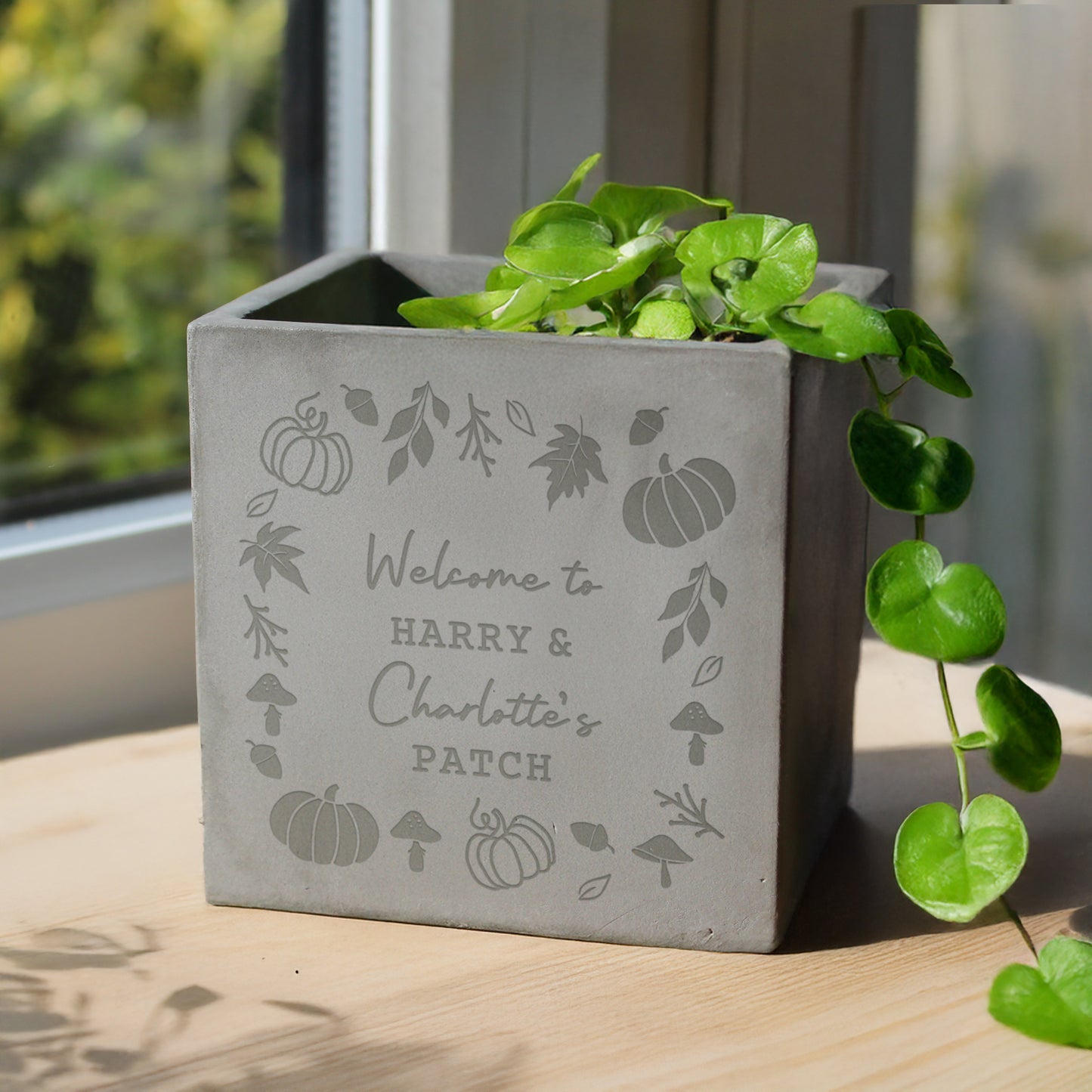 Personalised Pumpkin Concrete Plant Pot – Autumn Indoor Planter Seasonal Gift - image 2