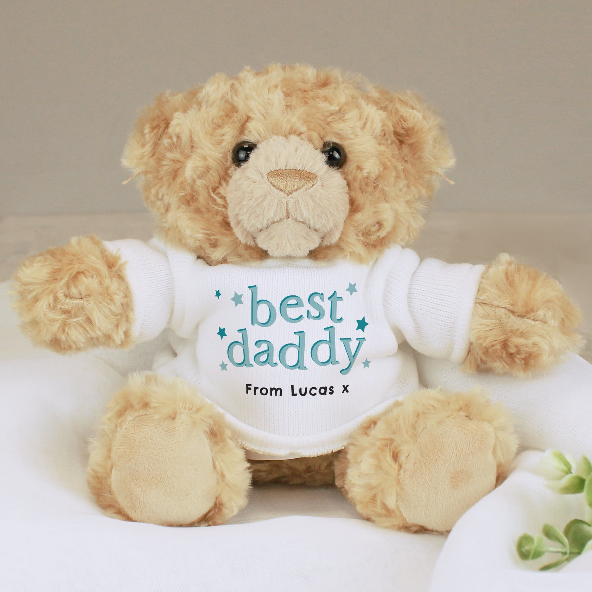 Personalised Best Daddy Teddy Bear - image 2
