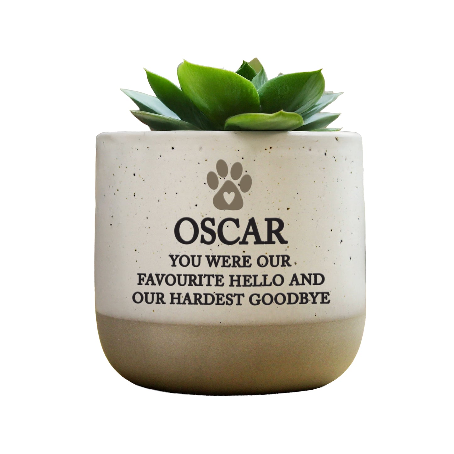 Personalised Pet Memorial Flecked Plant Pot - image 4