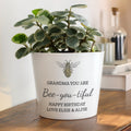 Personalised Bee Large Plant Pot from Heartfelt Gifts