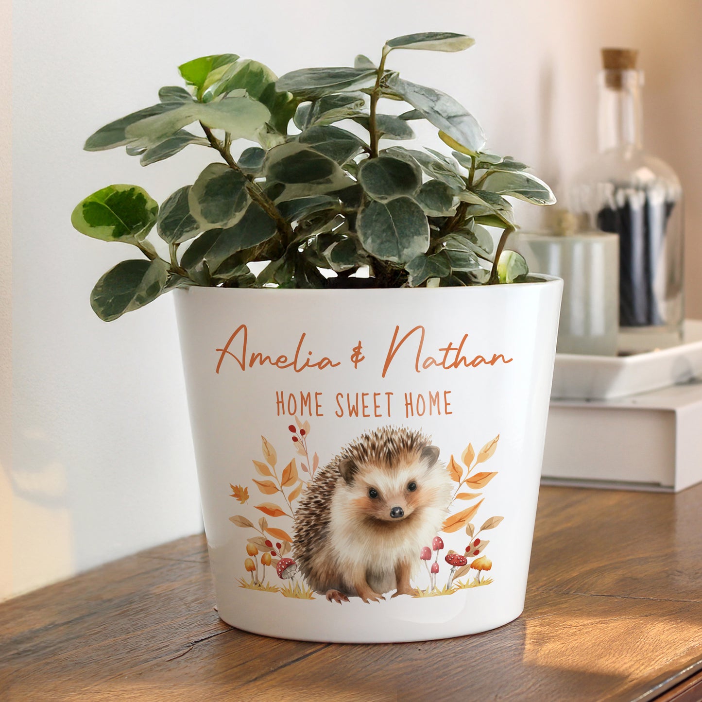 Personalised Hedgehog Large Plant Pot from Heartfelt Gifts