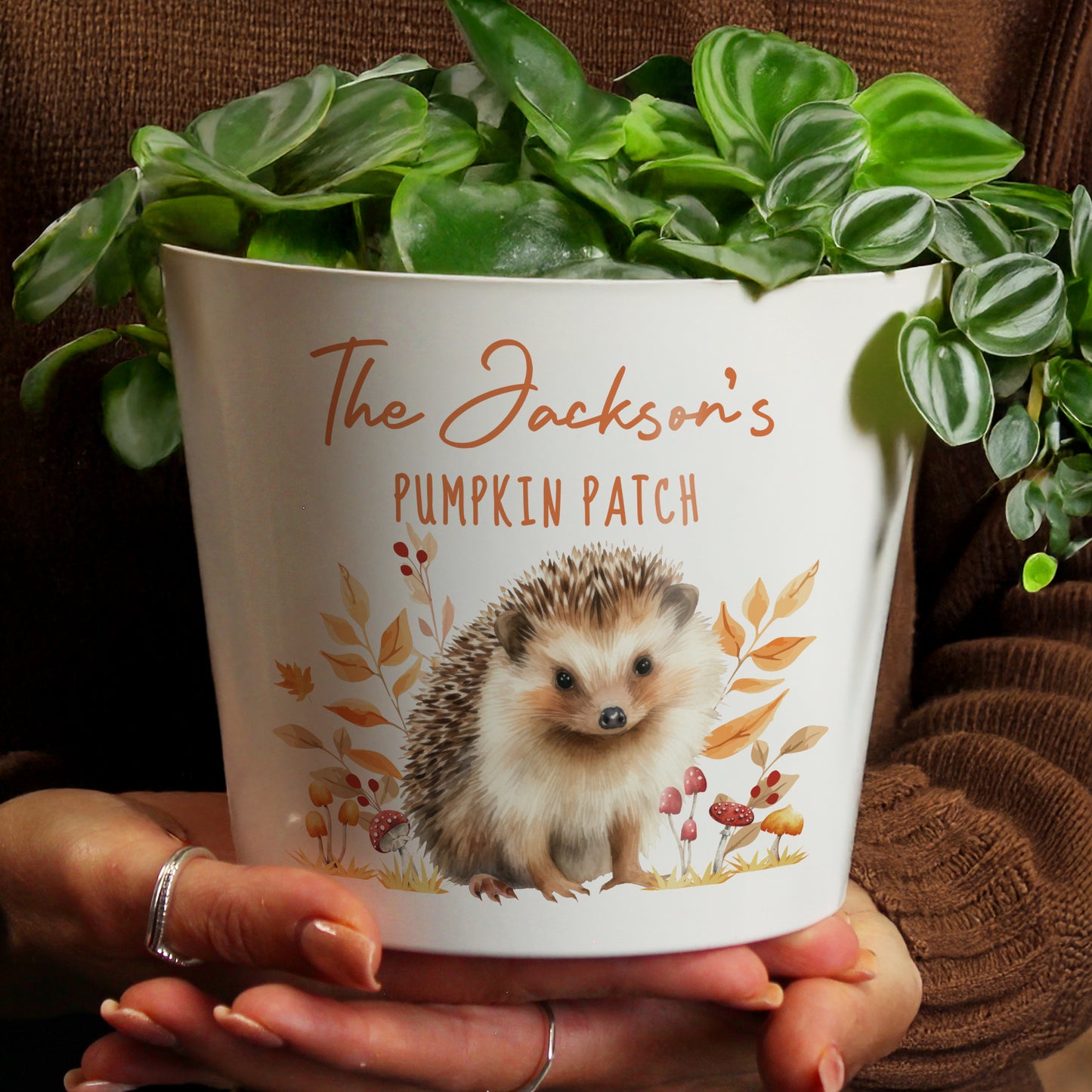 Personalised Hedgehog Large Plant Pot - image 2
