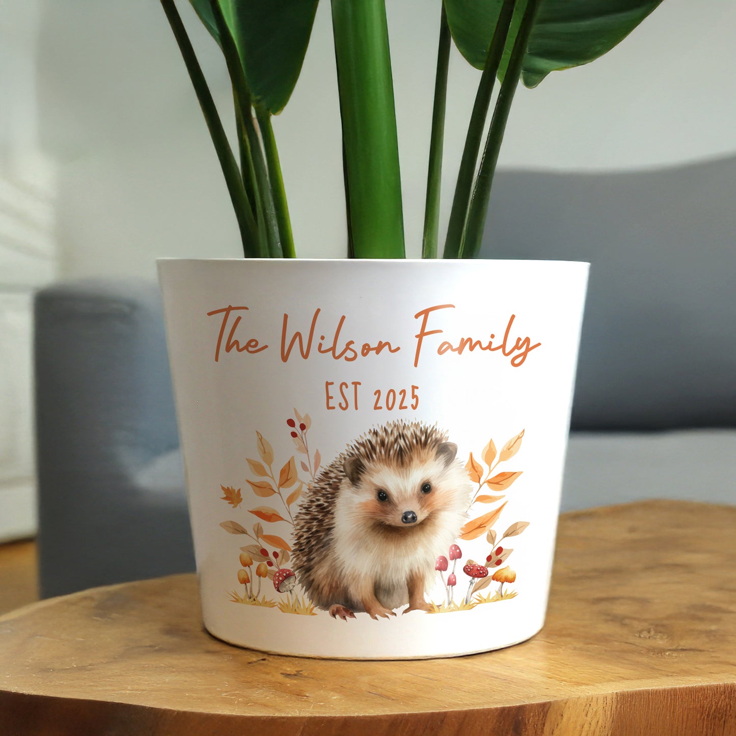Personalised Hedgehog Large Plant Pot - image 3