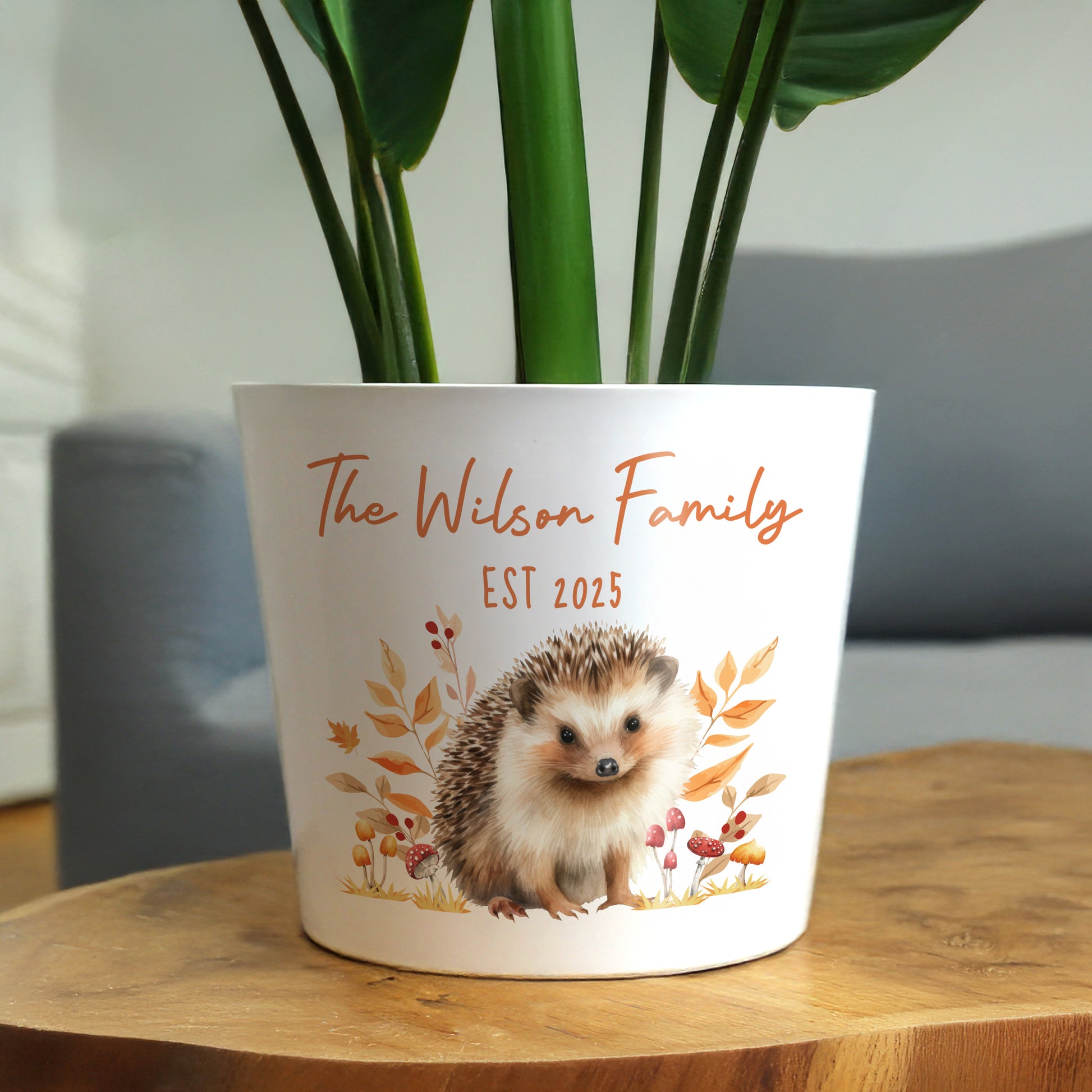 Personalised Hedgehog Large Plant Pot - image 3