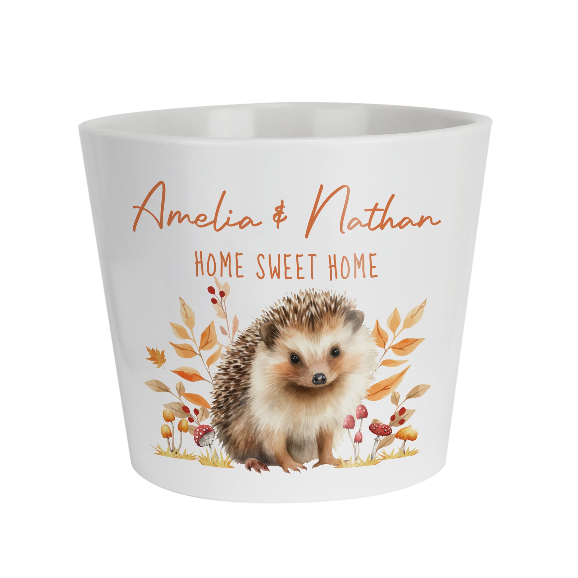 Personalised Hedgehog Large Plant Pot - image 5