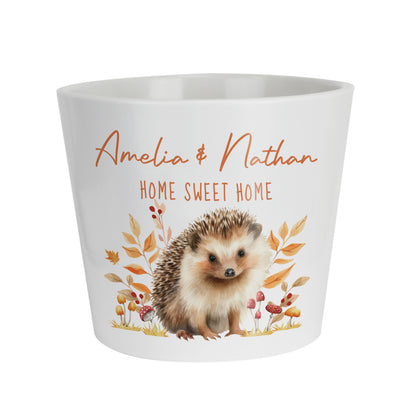 Personalised Hedgehog Large Plant Pot - image 5