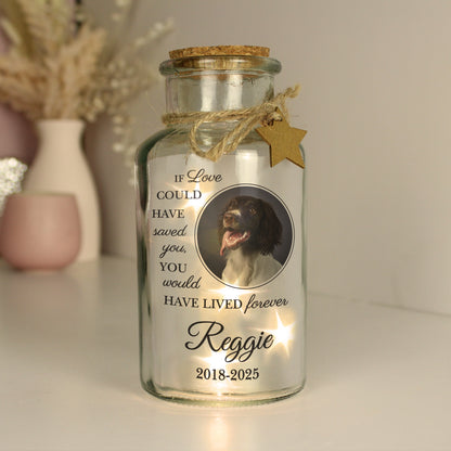 Personalised Pet Memorial Photo Upload LED Light Up Jar from Heartfelt Gifts