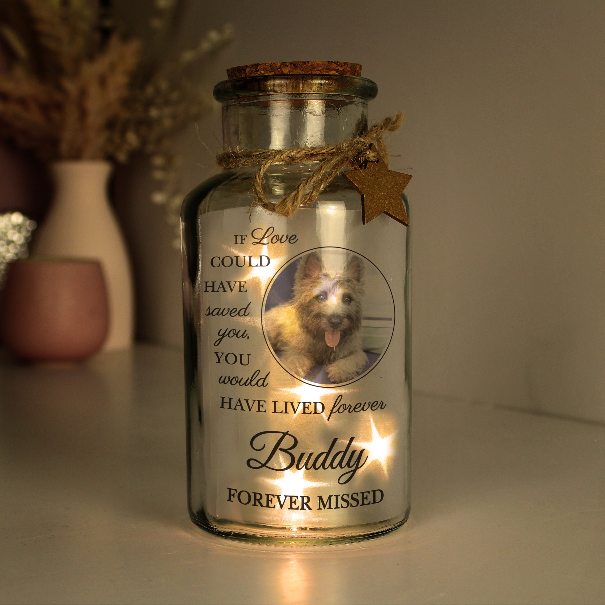 Personalised Pet Memorial Photo Upload LED Light Up Jar - image 3