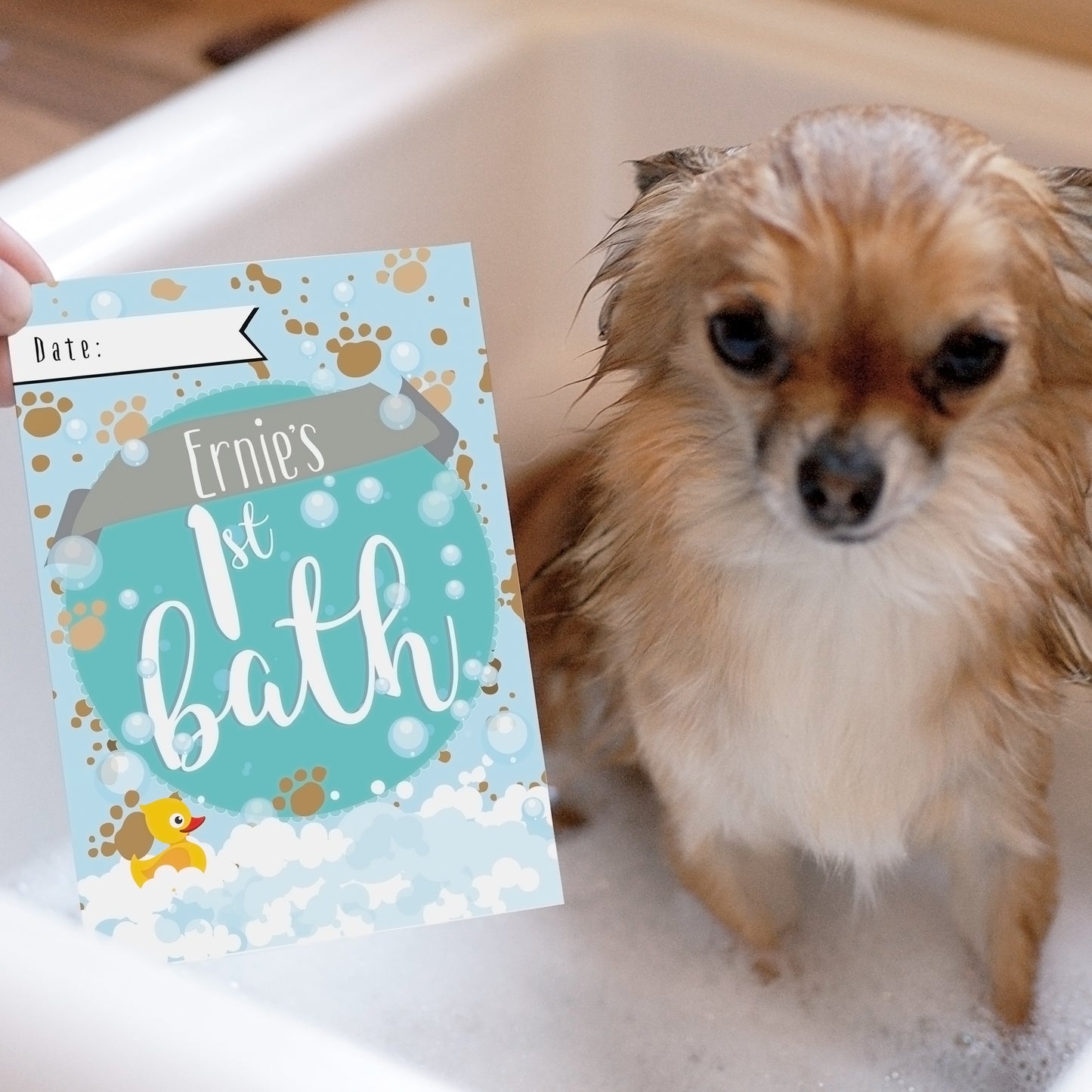 Personalised Puppy Cards: For Milestone Moments from Heartfelt Gifts