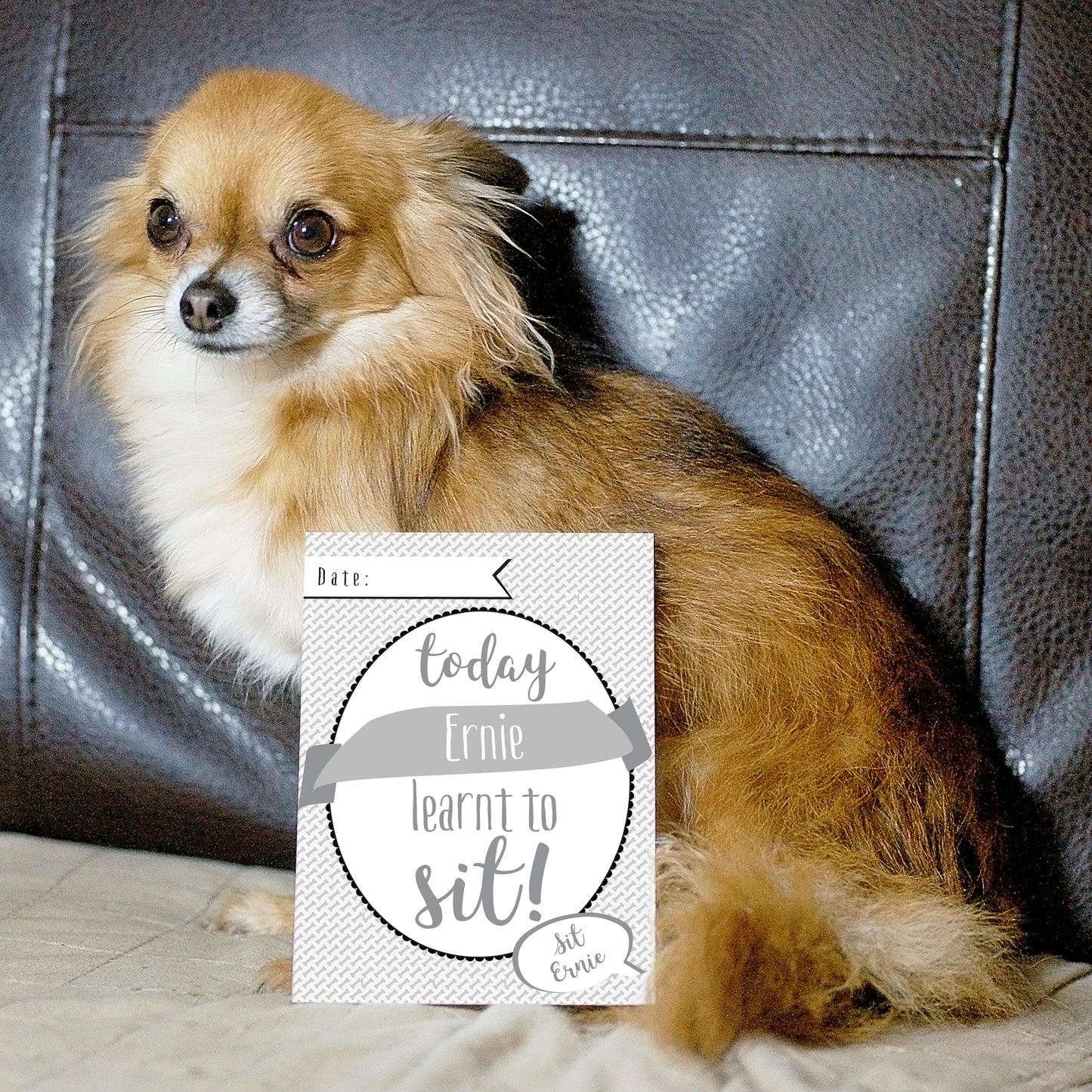 Personalised Puppy Cards: For Milestone Moments - image 4