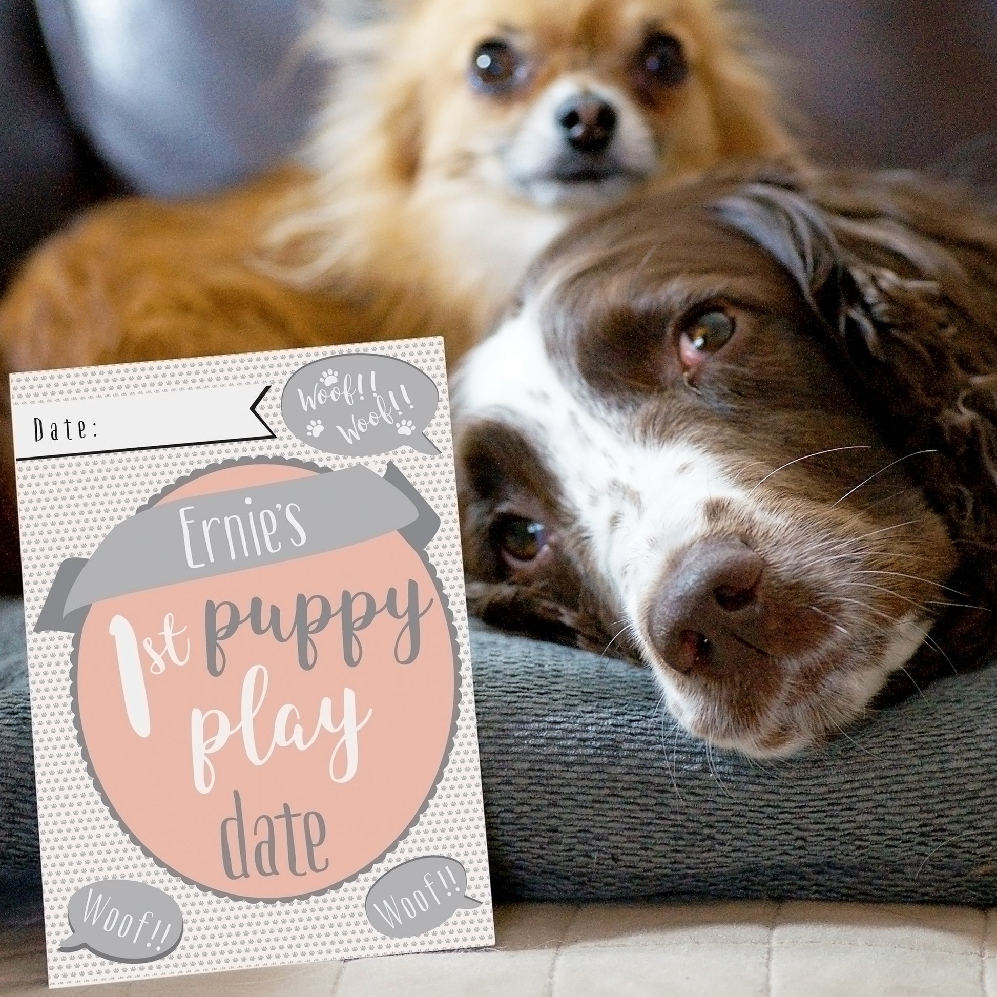 Personalised Puppy Cards: For Milestone Moments - image 8