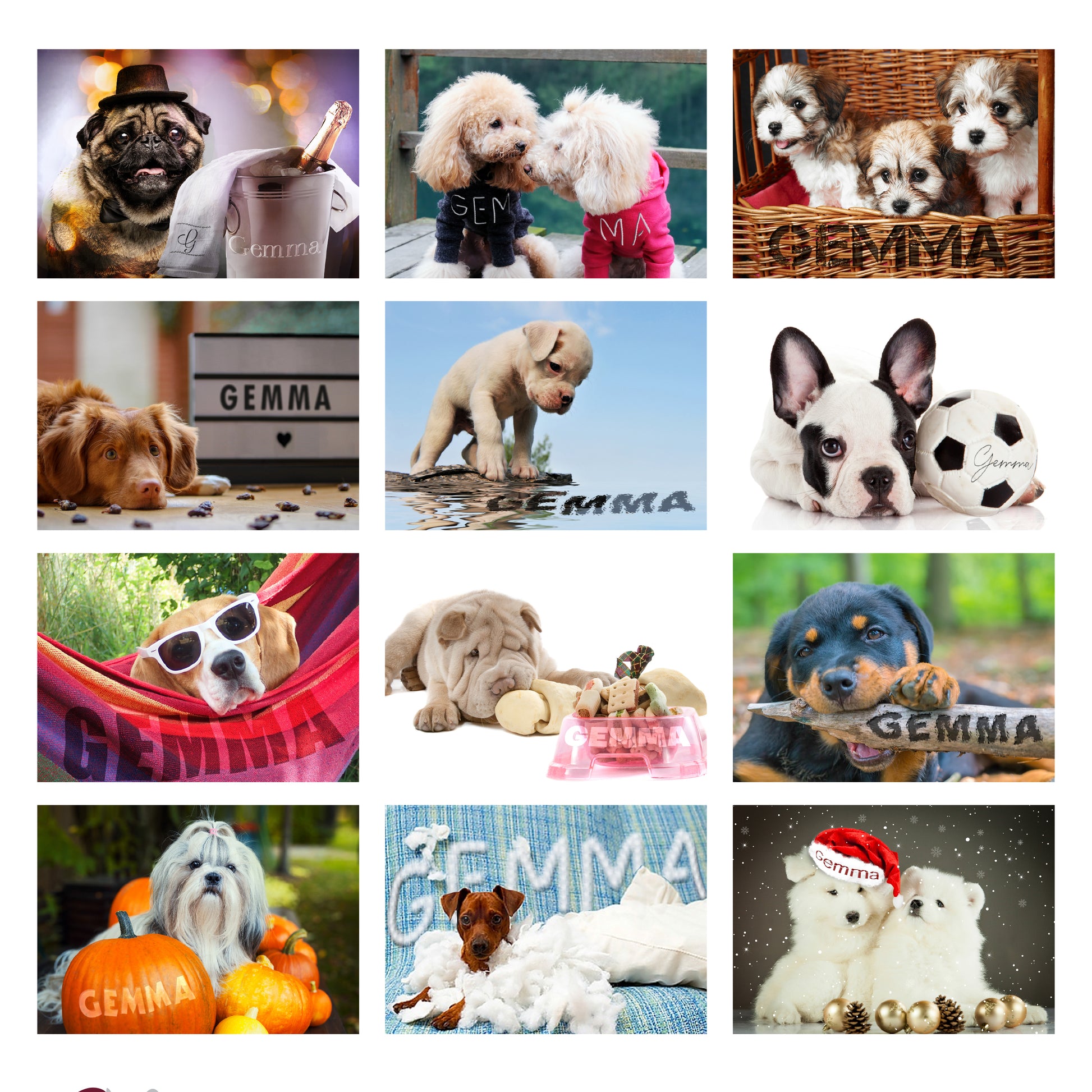 Personalised Barking Mad Dog Desk Calendar - image 6
