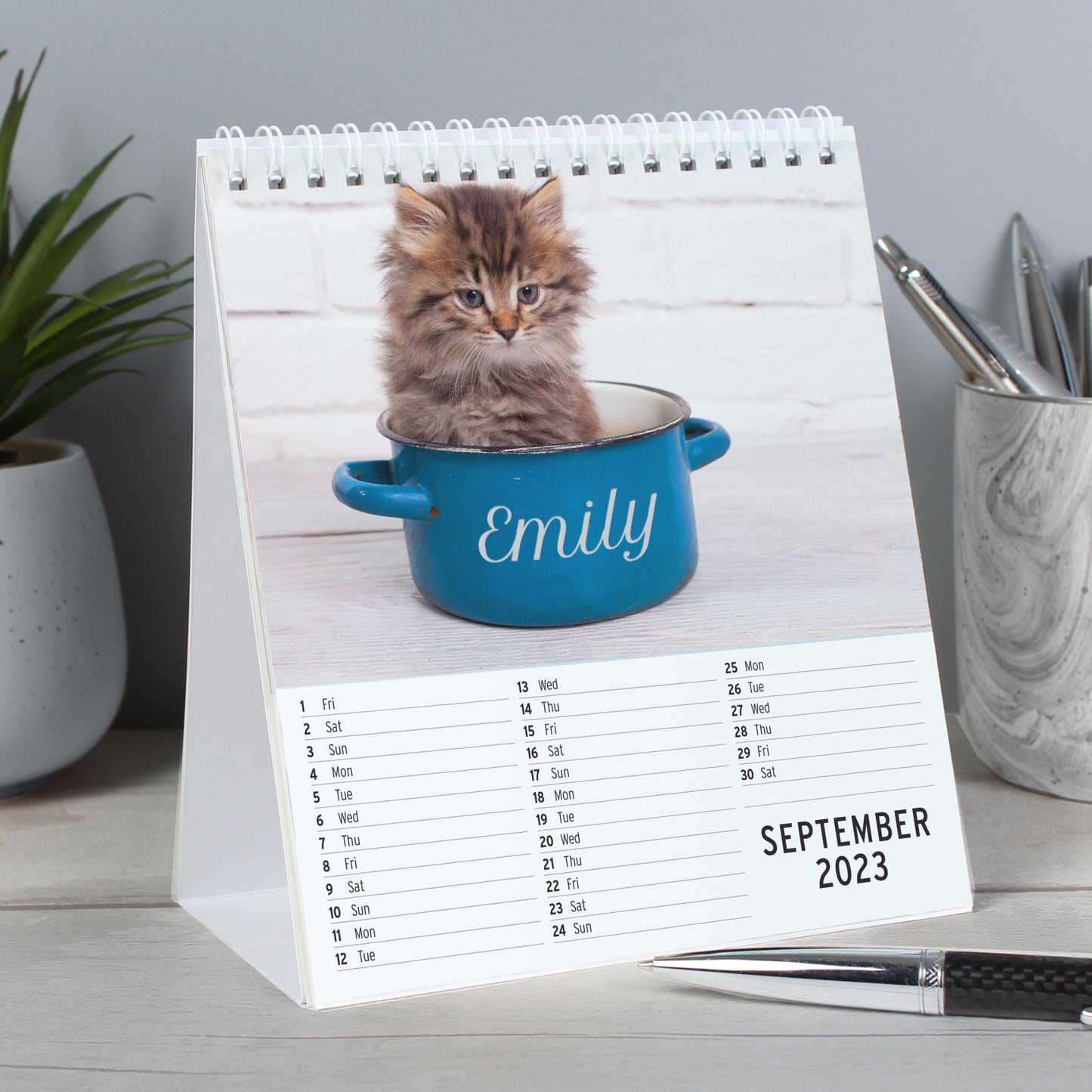 Personalised Cats and Kittens Desk Calendar - image 2