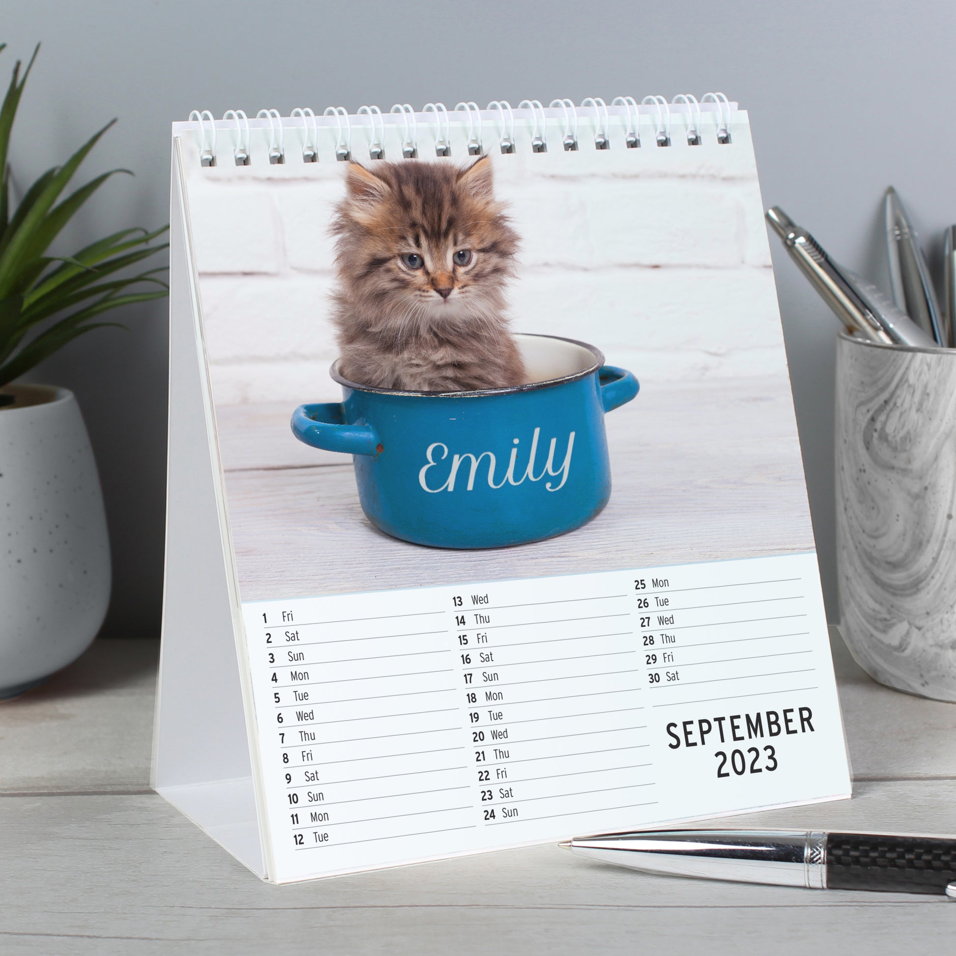 Personalised Cats and Kittens Desk Calendar - image 2