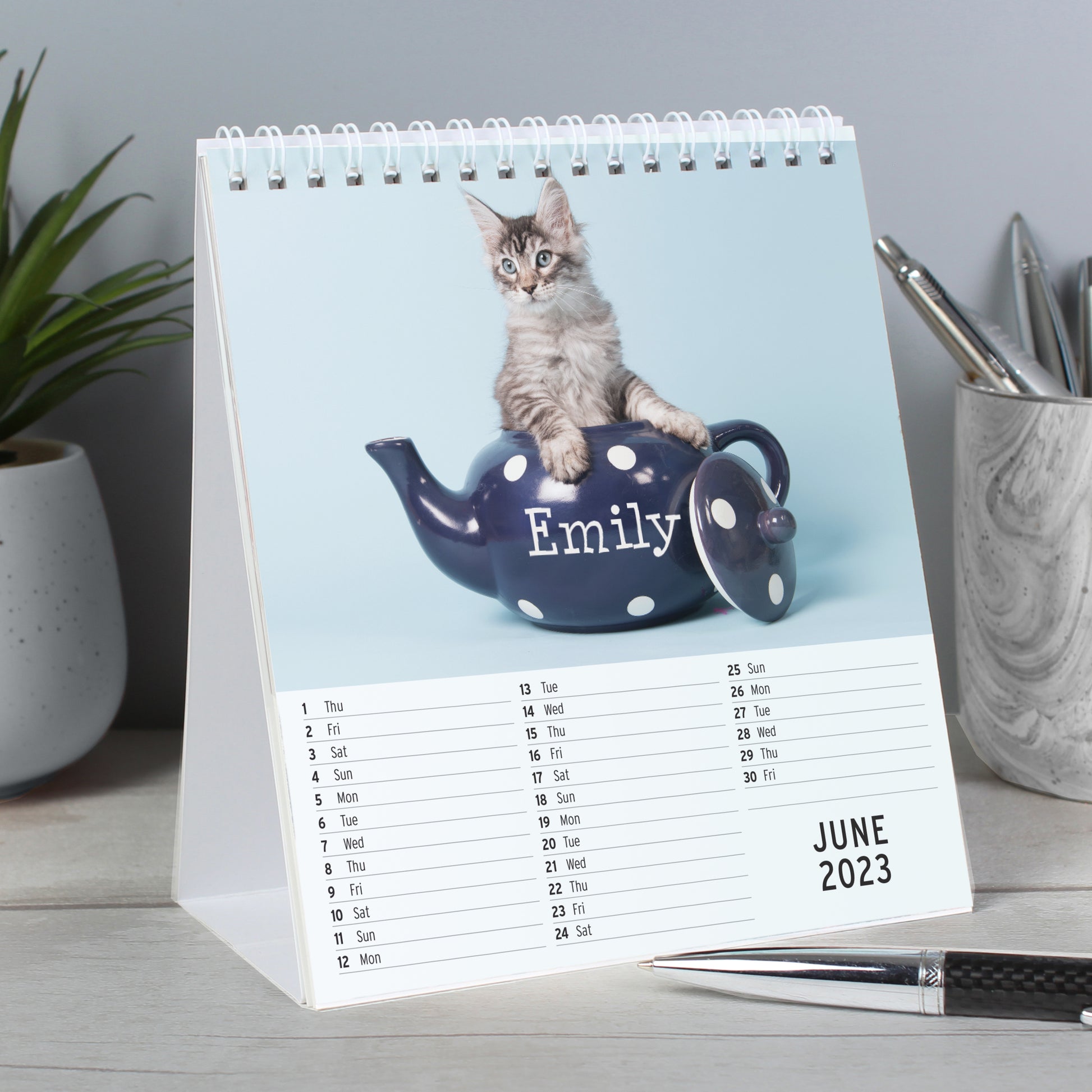 Personalised Cats and Kittens Desk Calendar - image 4