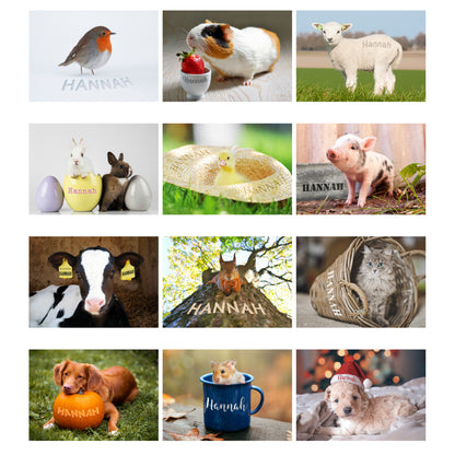 Personalised A4 Cute Animals Calendar - image 9