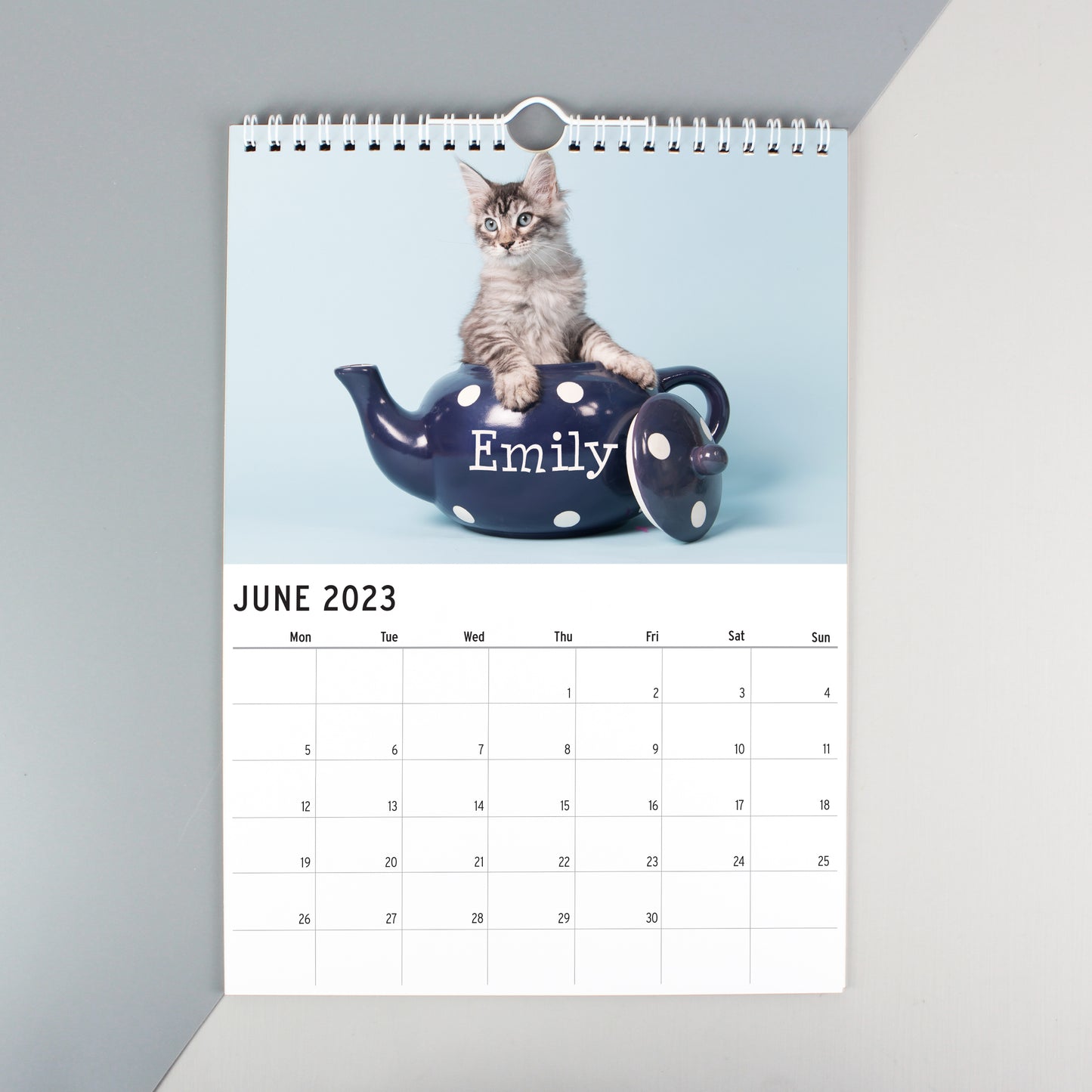Personalised A4 Cats & Kittens Calendar - image 2