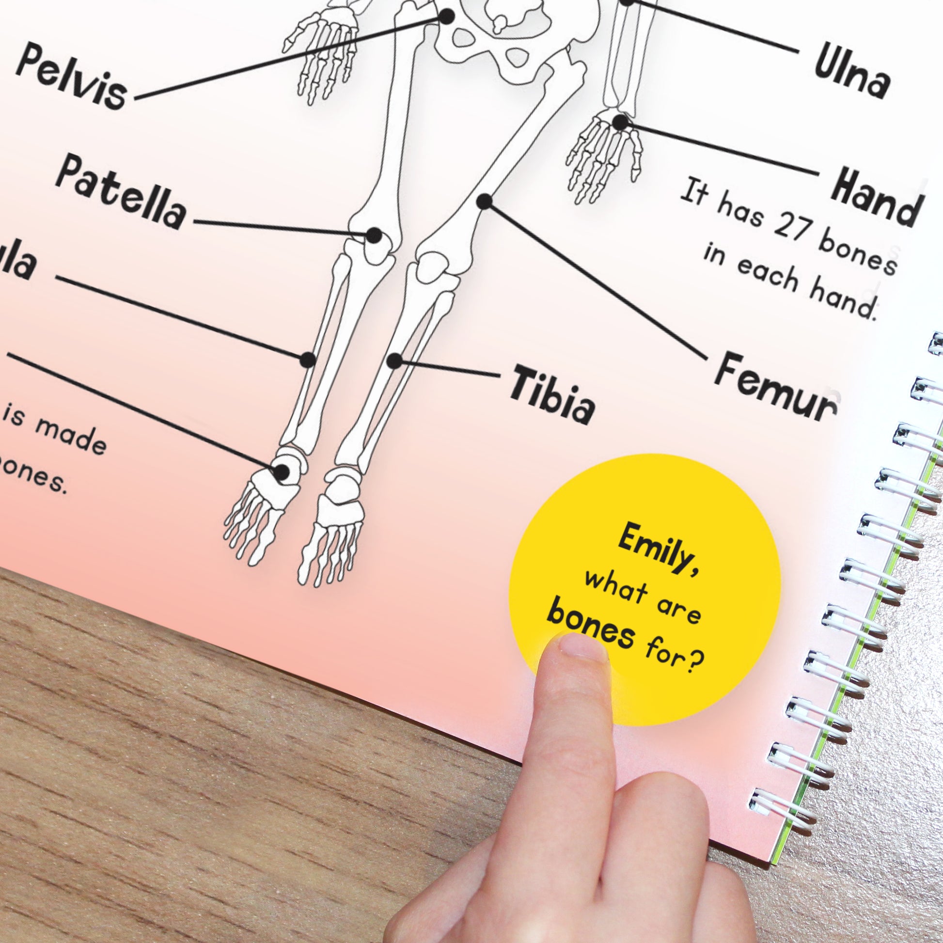 Personalised Childrens Encyclopaedia - image 11