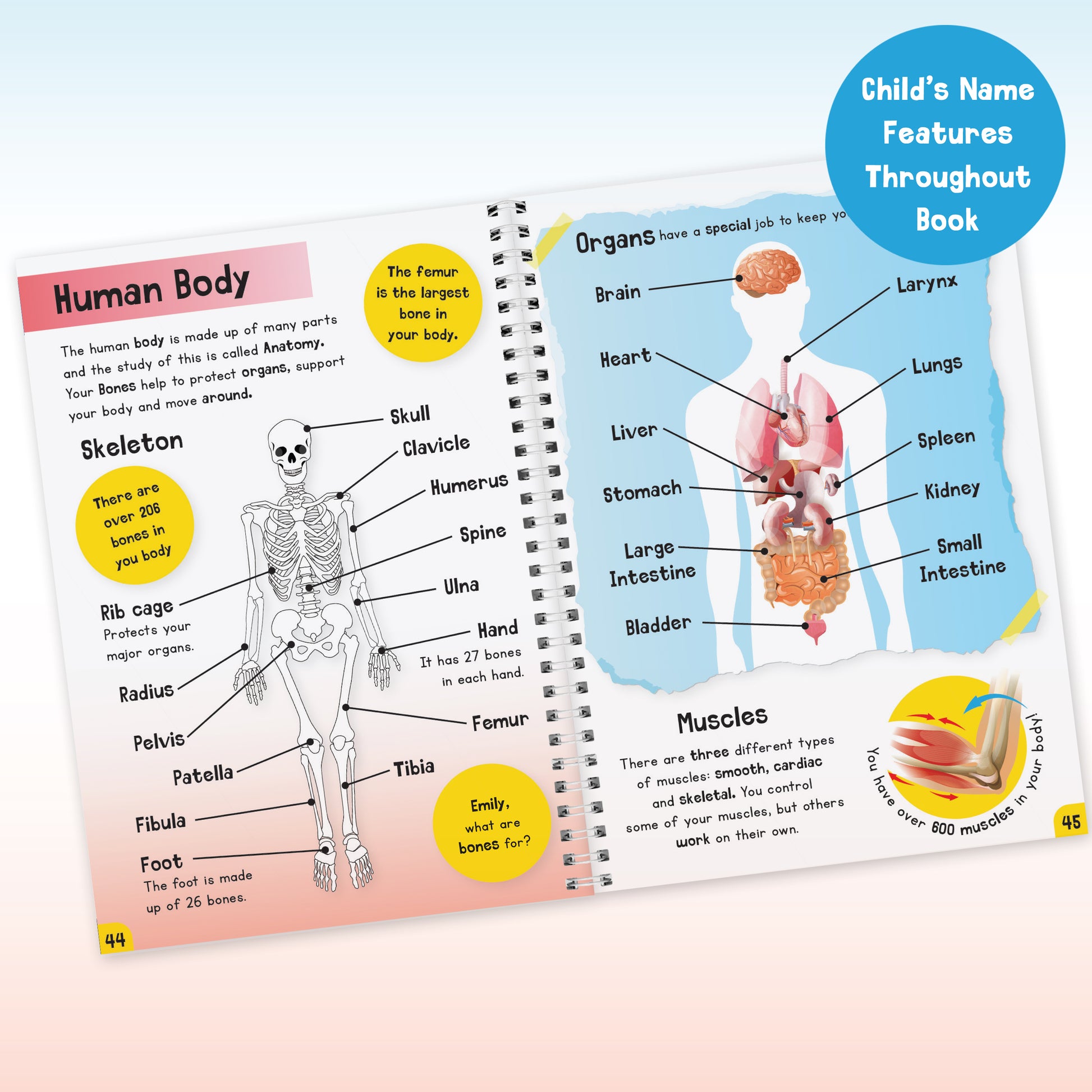 Personalised Childrens Encyclopaedia - image 13