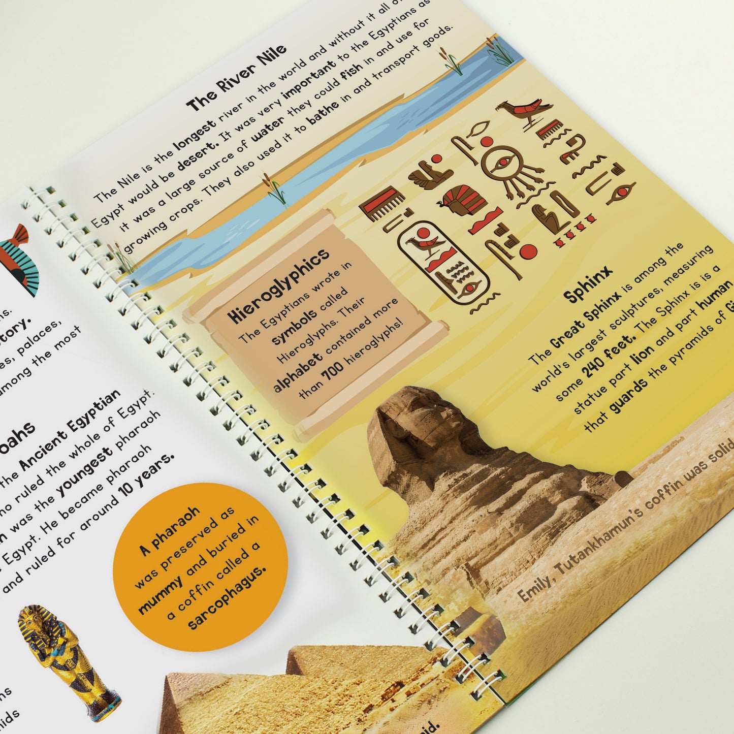 Personalised Childrens Encyclopaedia - image 16
