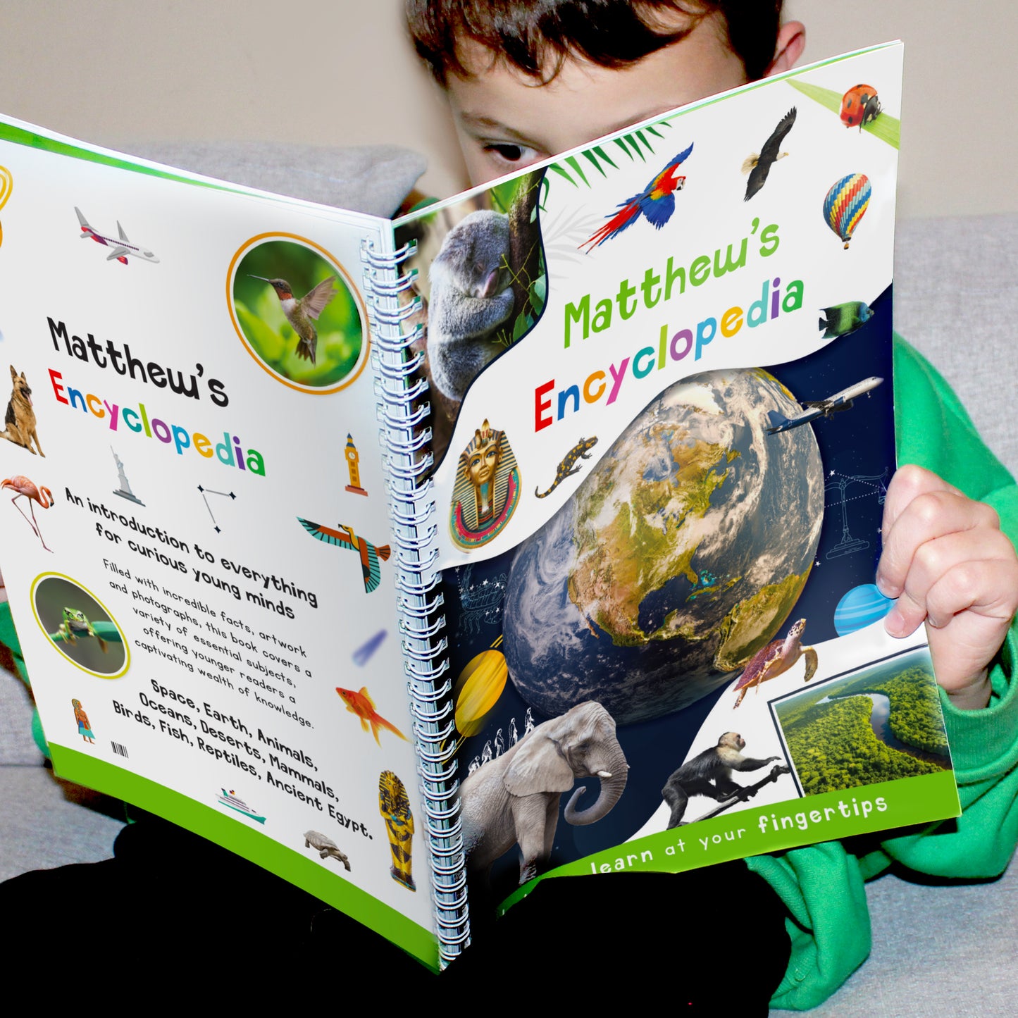 Personalised Childrens Encyclopaedia - image 17